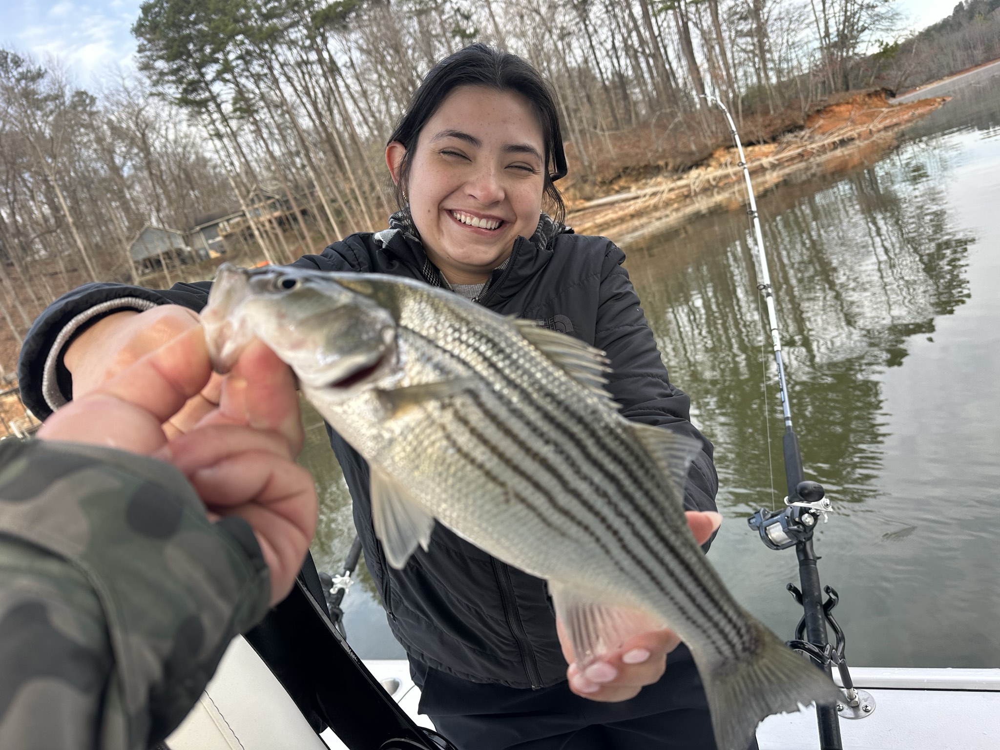 Striped Bass — March 2026