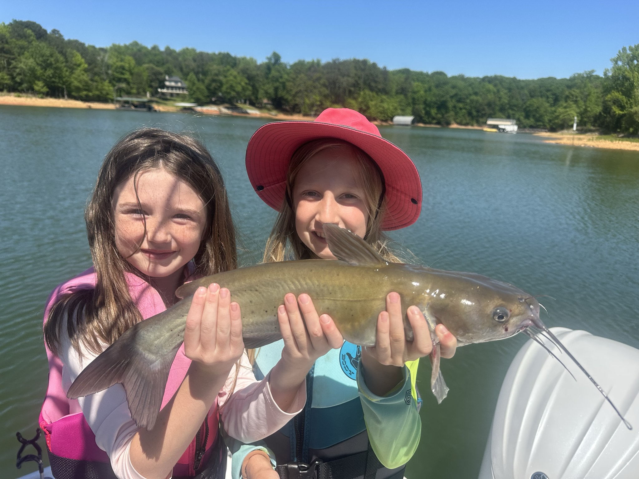 Striped Bass — May 2026