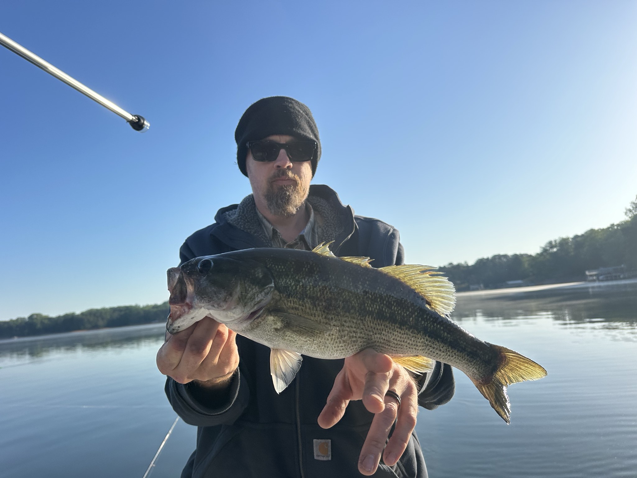 Striped Bass And Spotted Bass On Lake Lanier