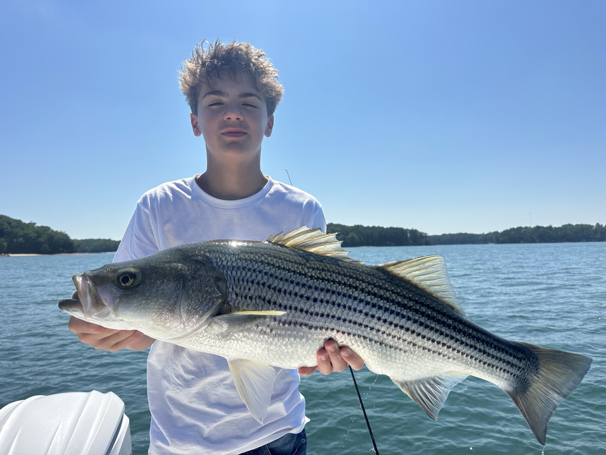 Summer Trophy Bass Action Lake Lanier