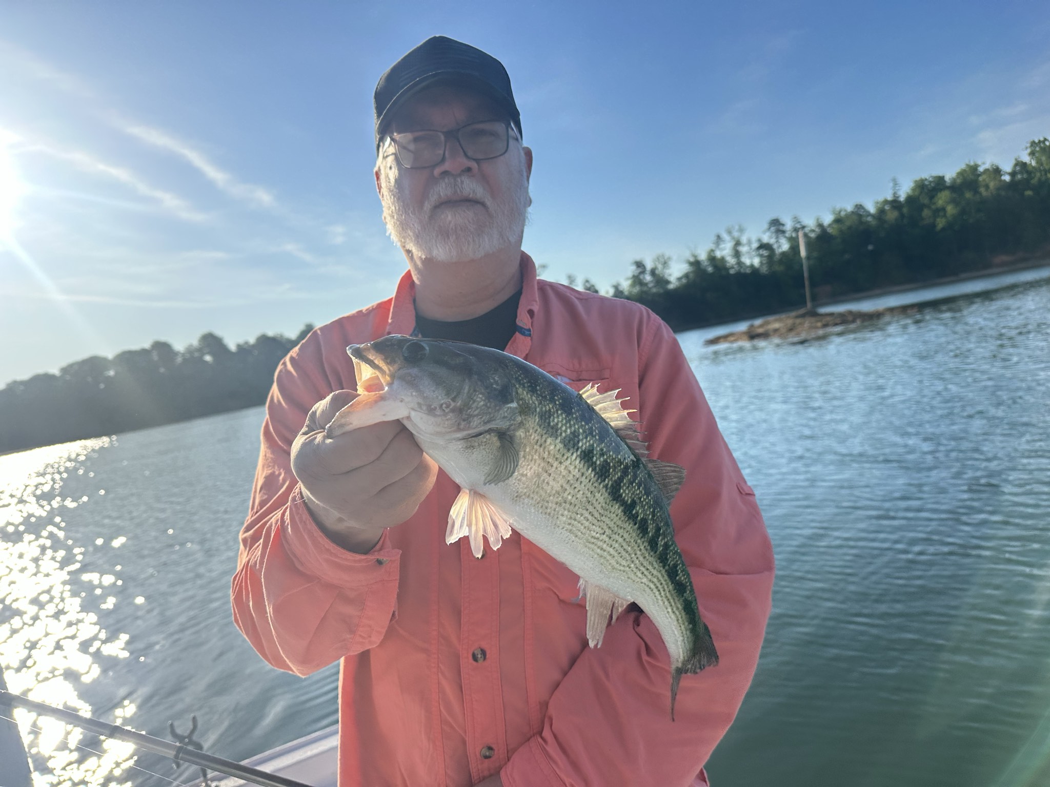 Five Friends Land 35 Fish at Lake Lanier