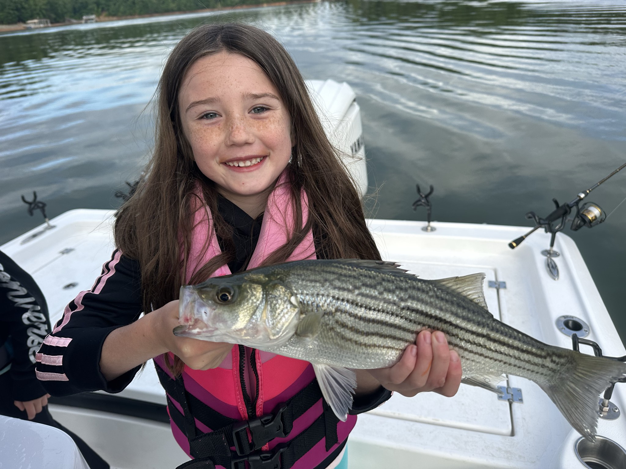 Striped Bass — May 2026
