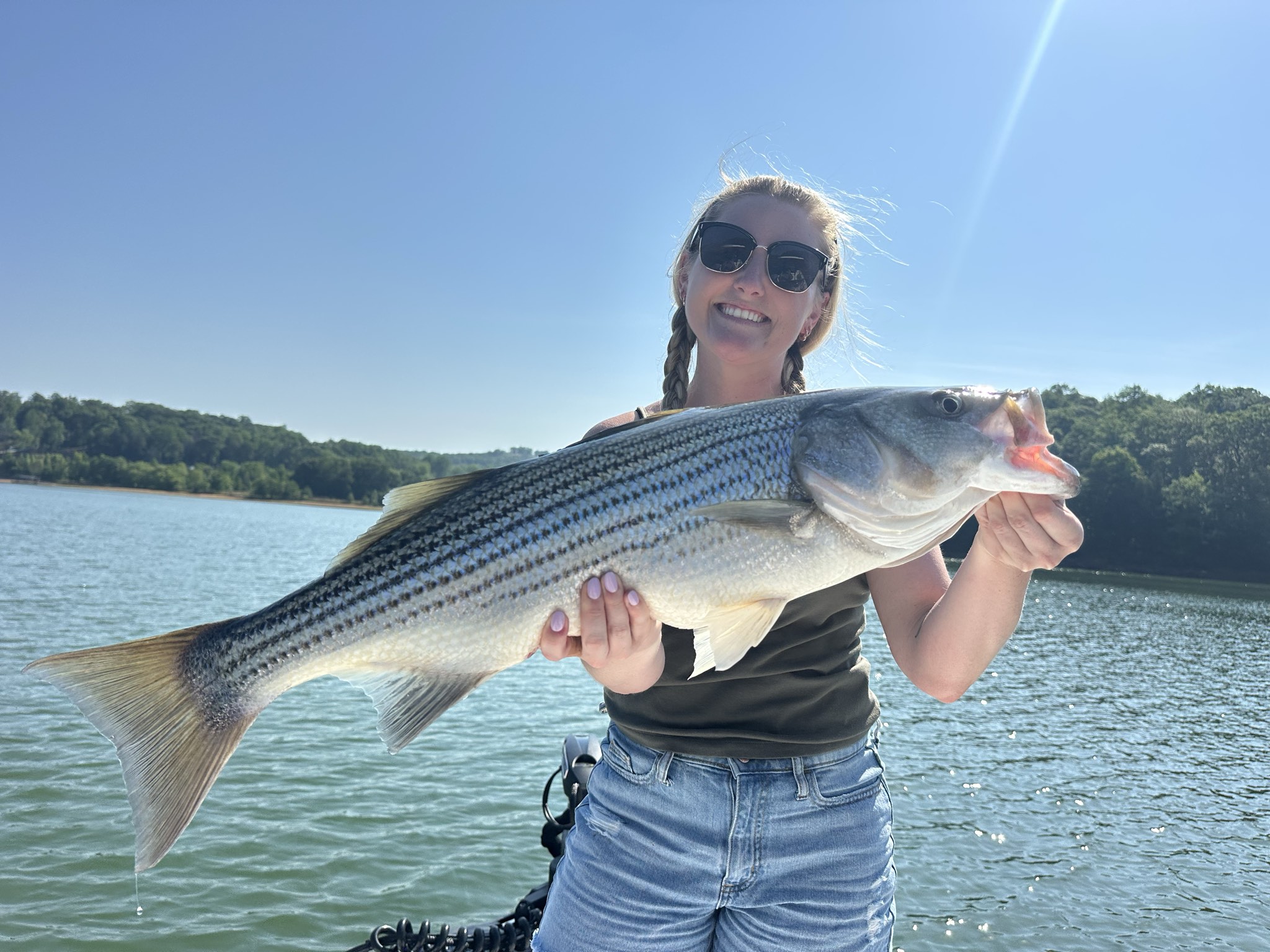 Striped Bass — May 2026