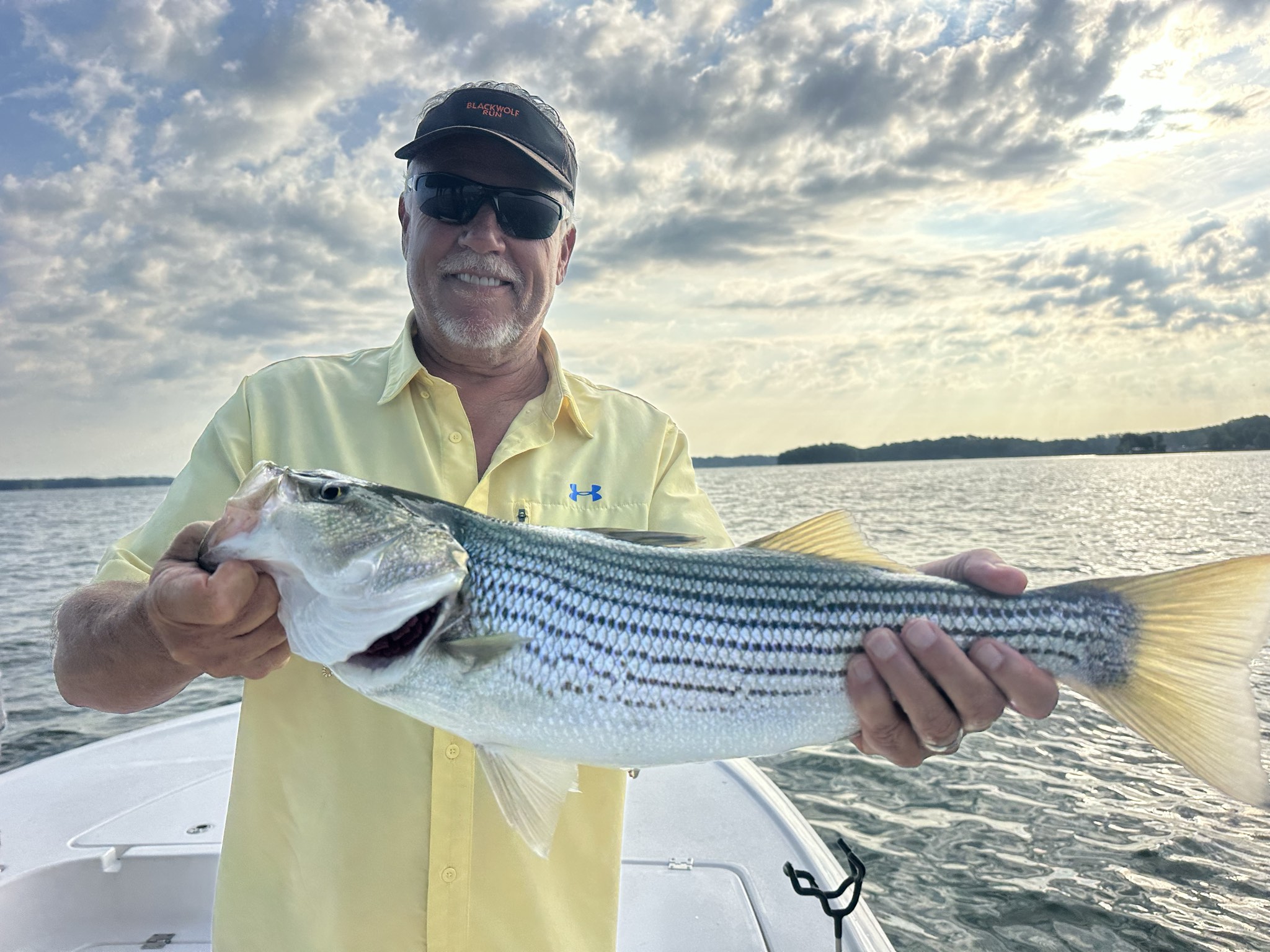 Striped And Spotted Bass Lake Lanier