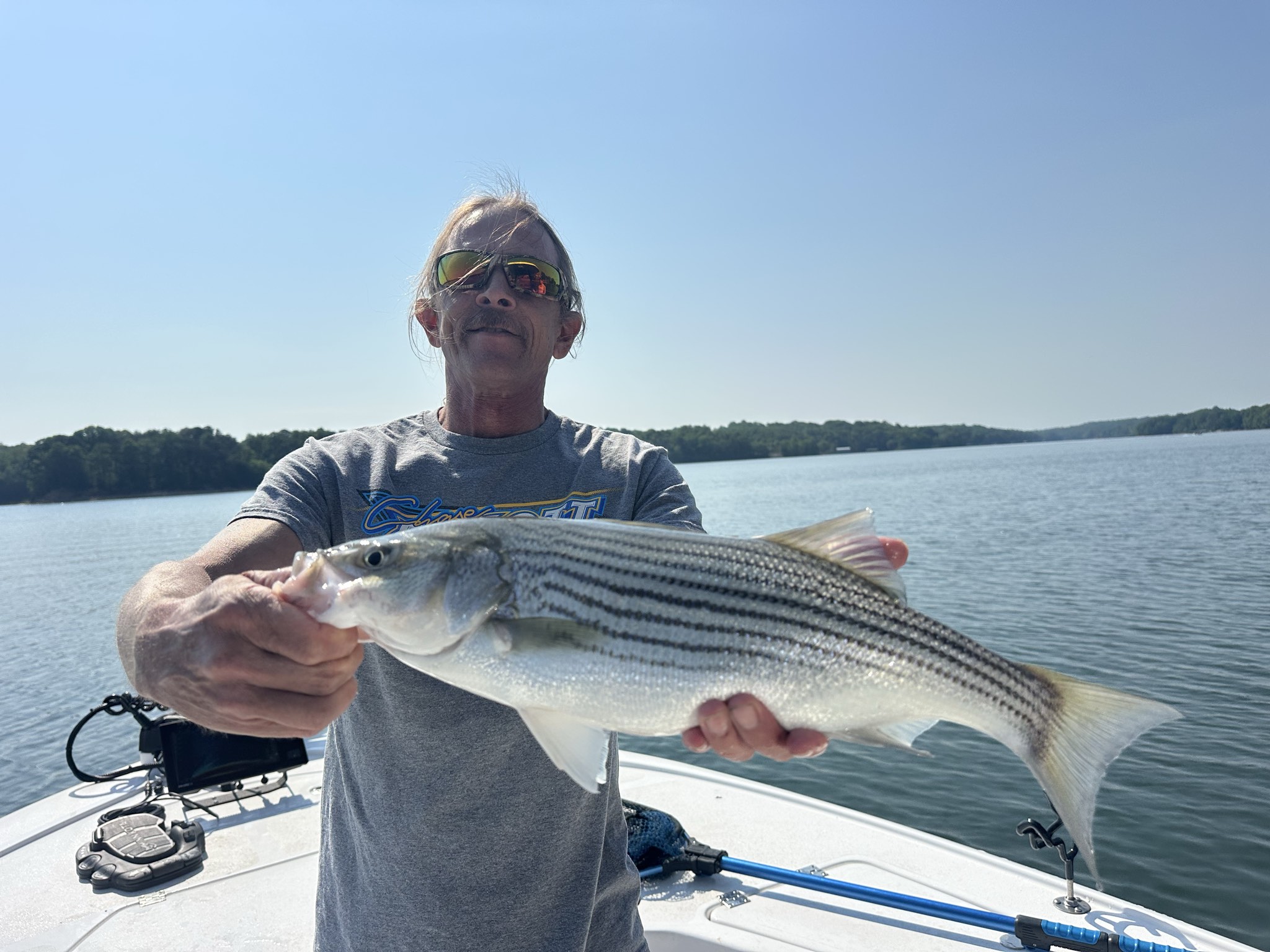 Striped Bass — April 2026