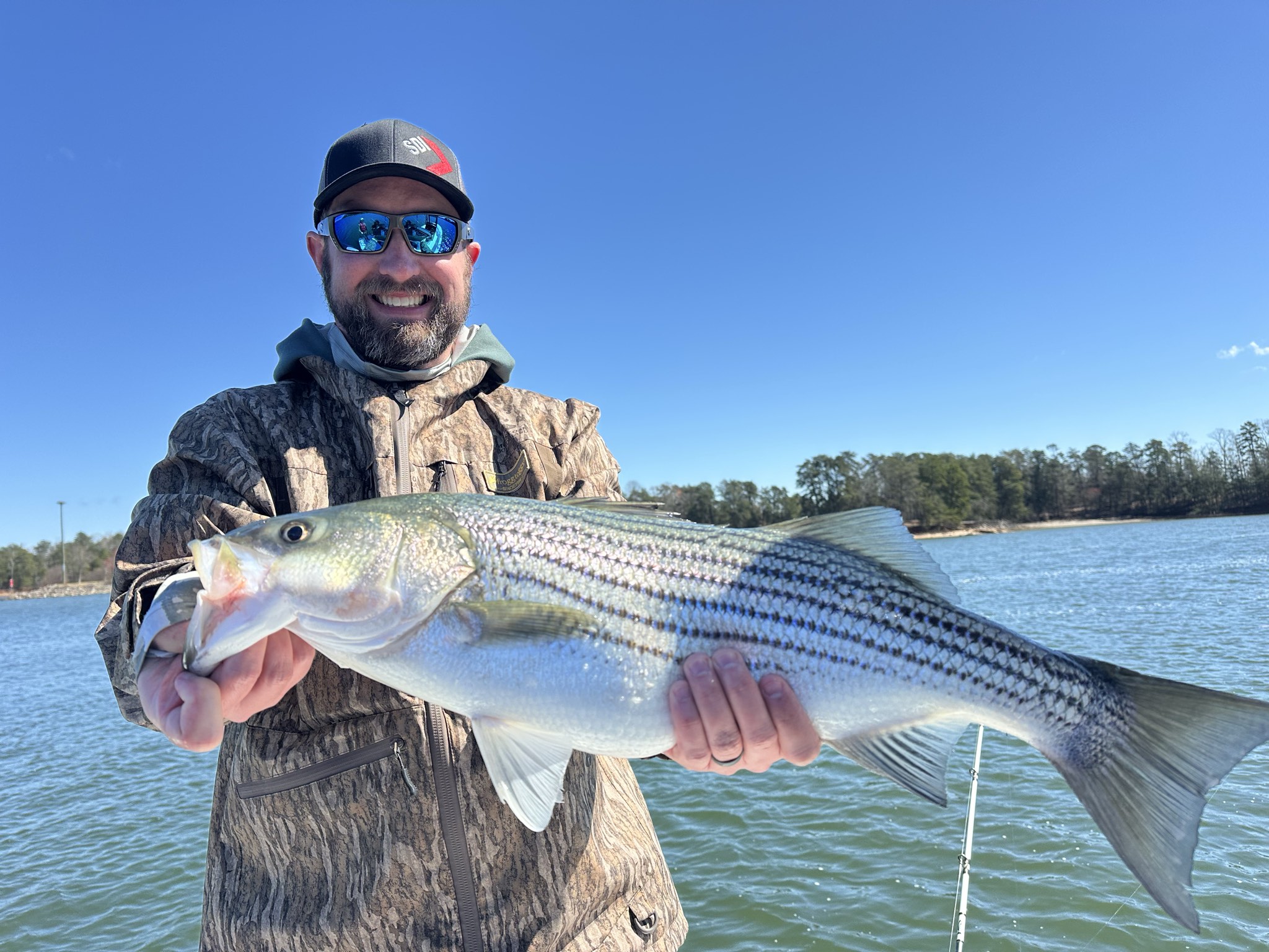 March Striped Bass And Spotted Bass Action