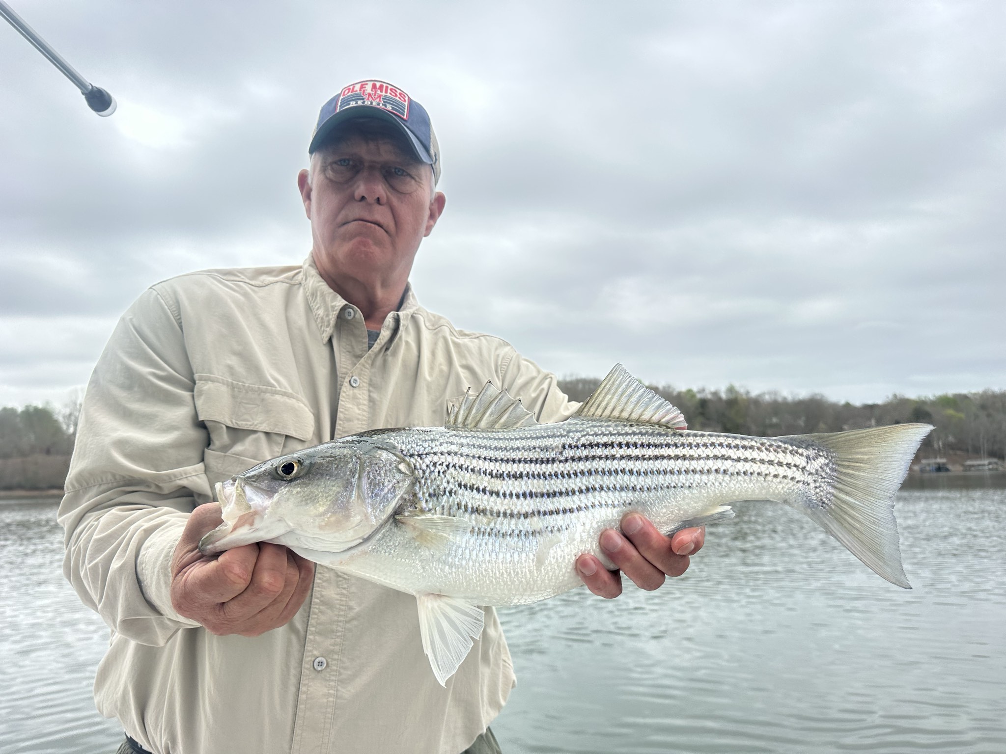 Striped Bass — March 2026