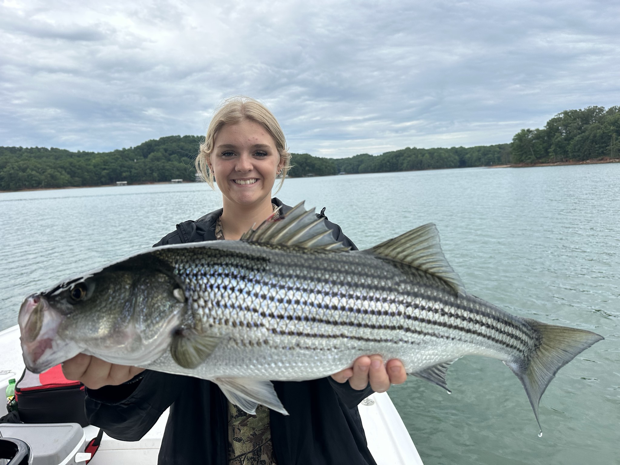 Striped Bass — June 2026
