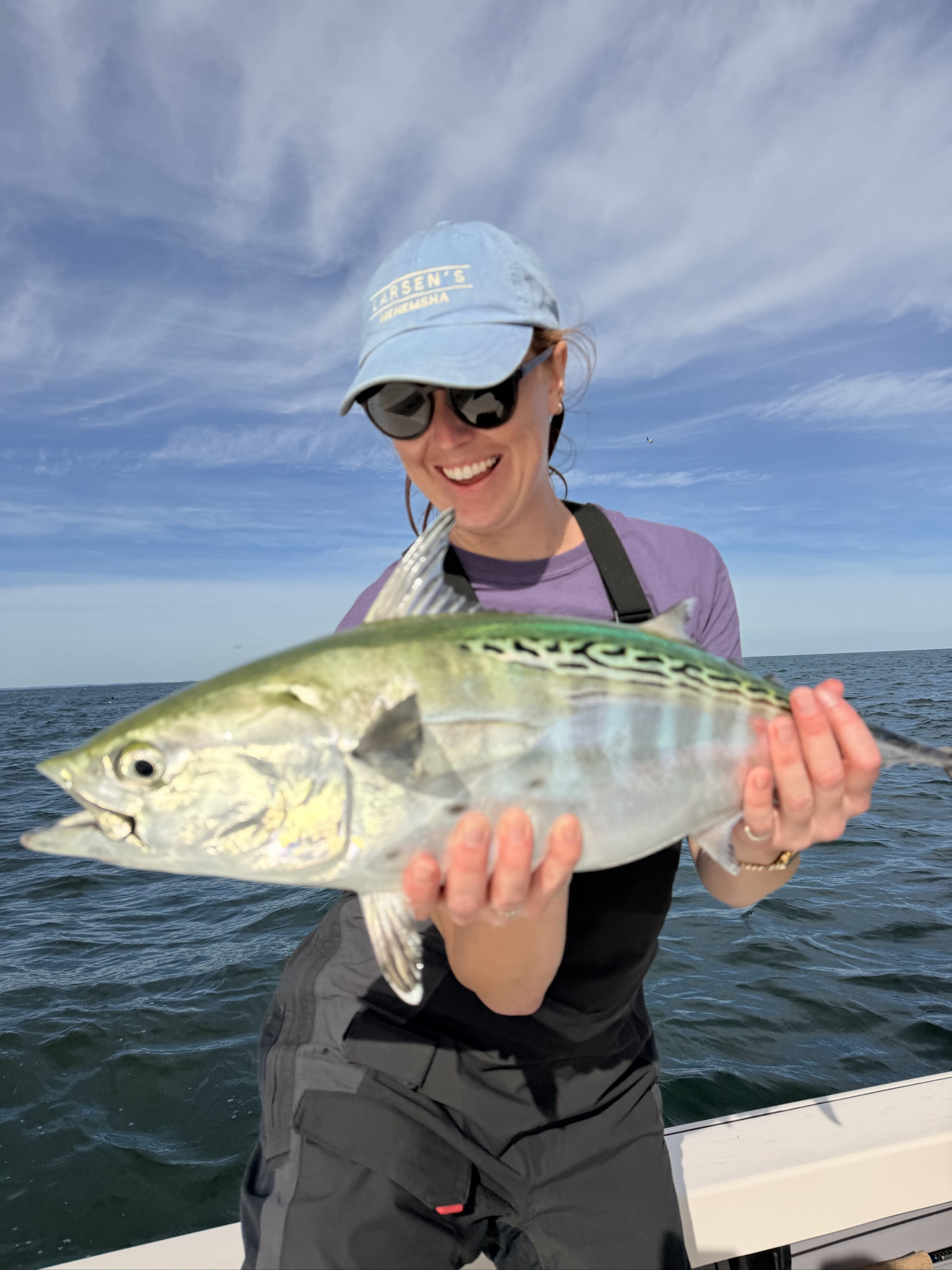Atlantic bonito caught out of Boston, Oct 10, 2026