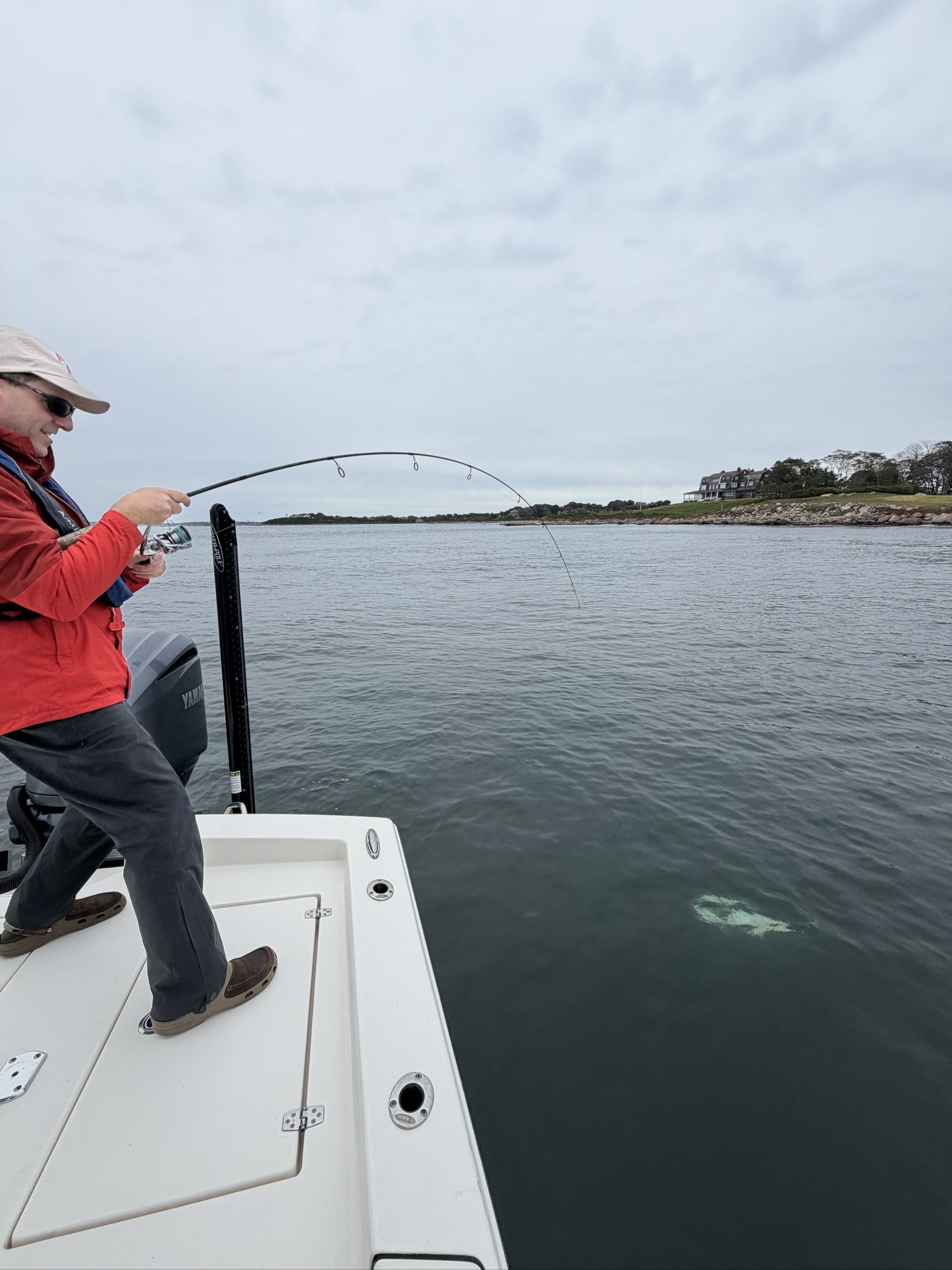 Fish caught out of Boston, Oct 11, 2026