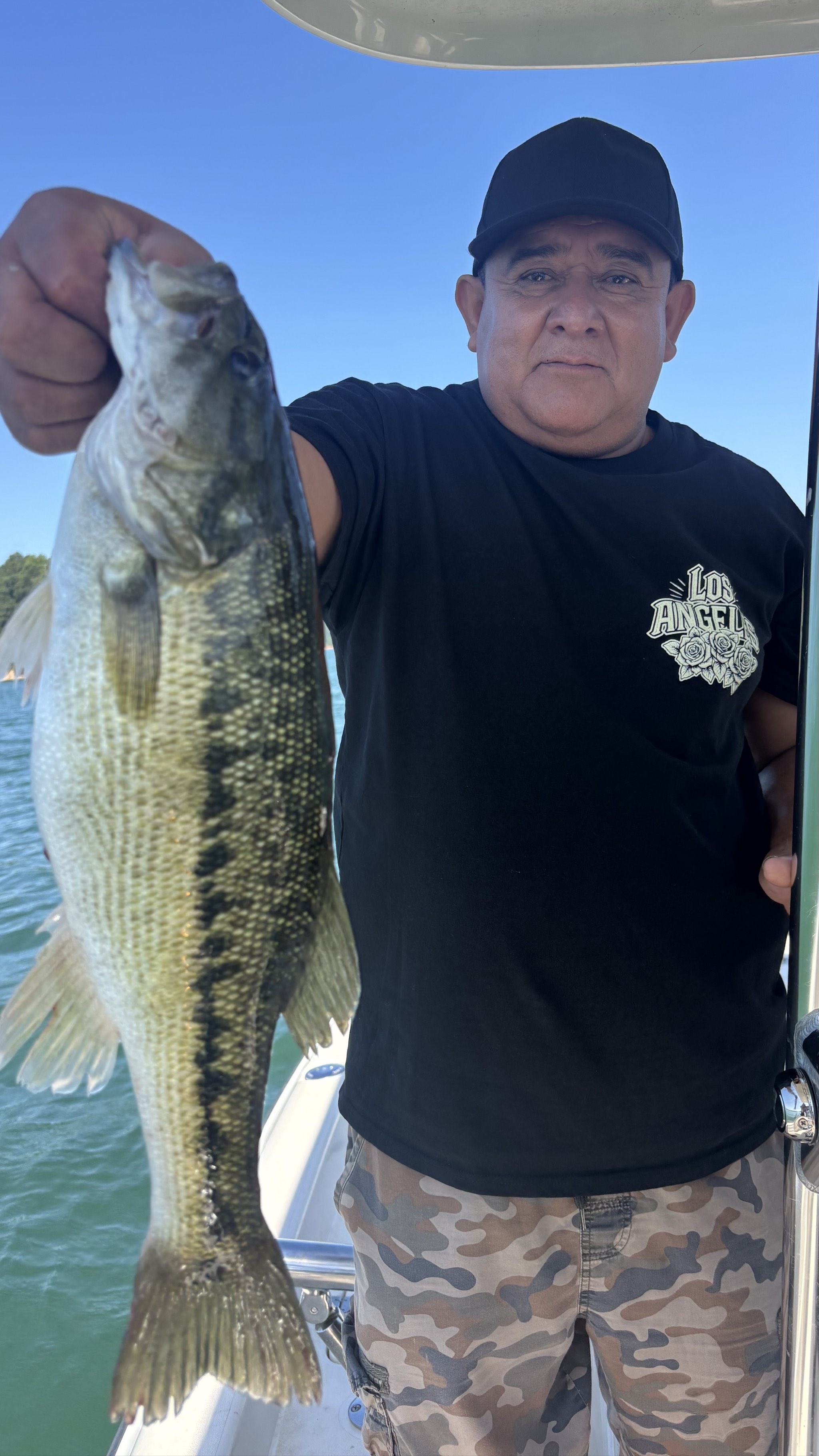 Striped And Spotted Bass Lake Lanier June