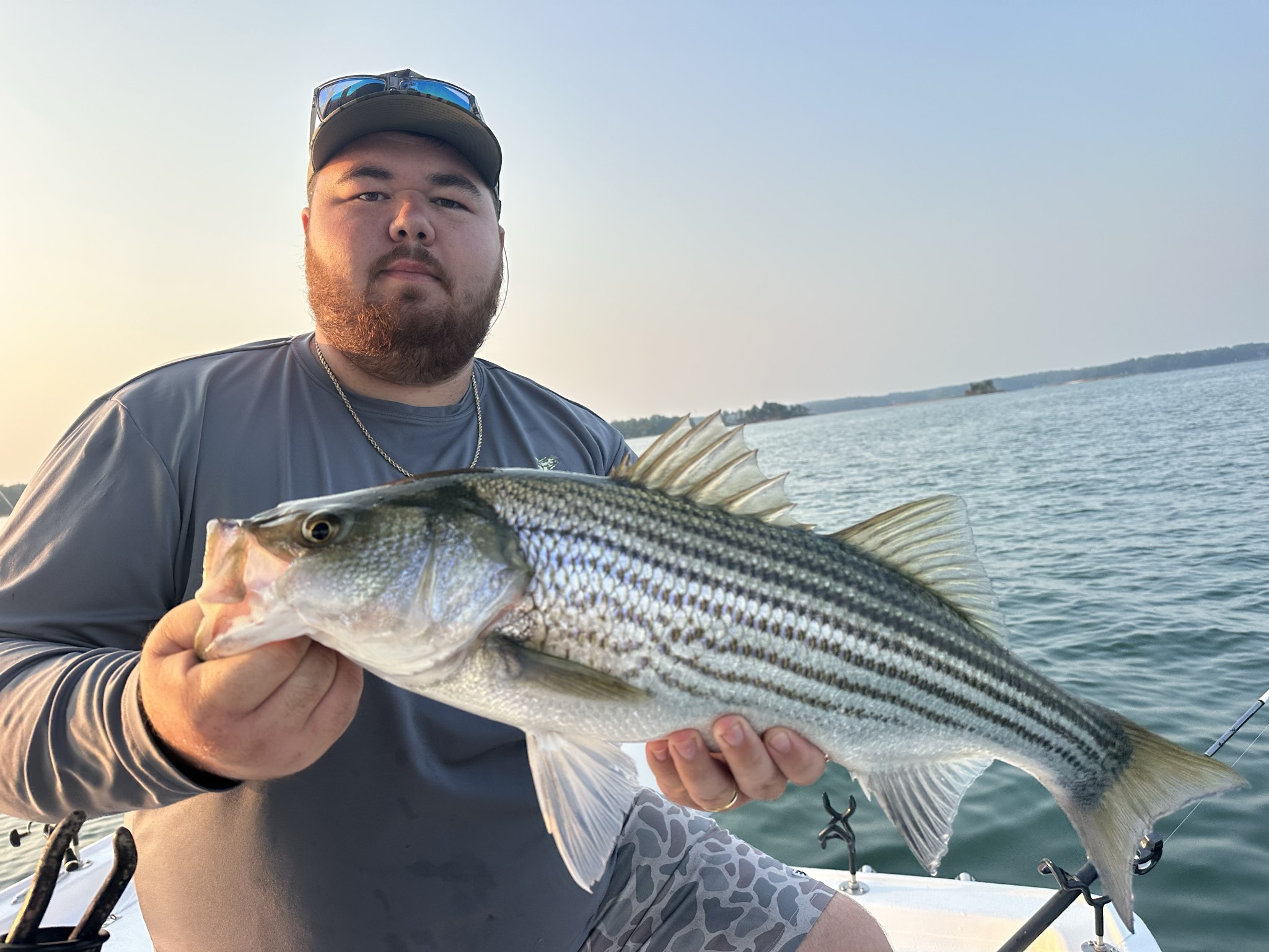 Striped And Spotted Bass Lake Lanier July