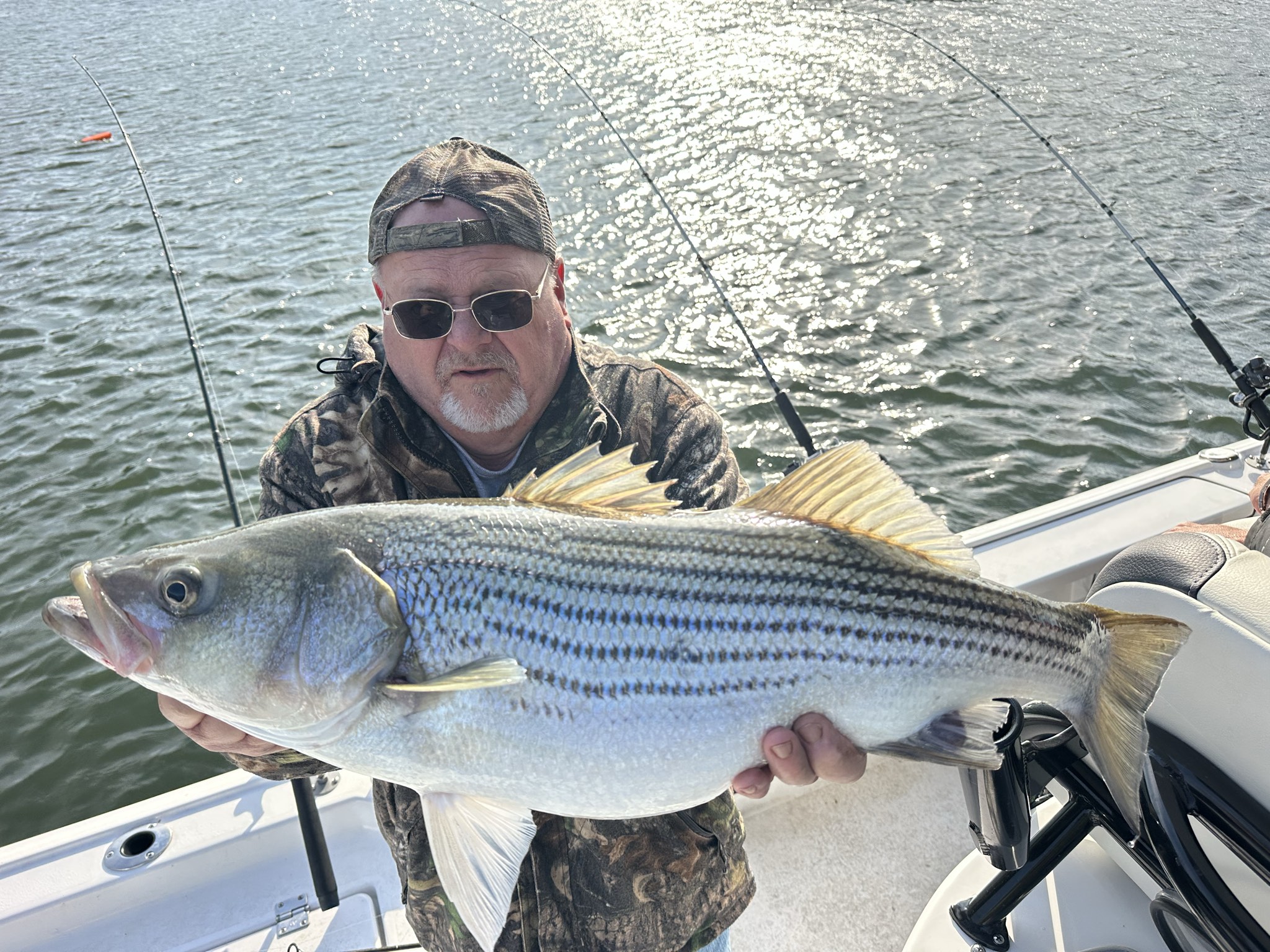 Striped Bass — April 2026
