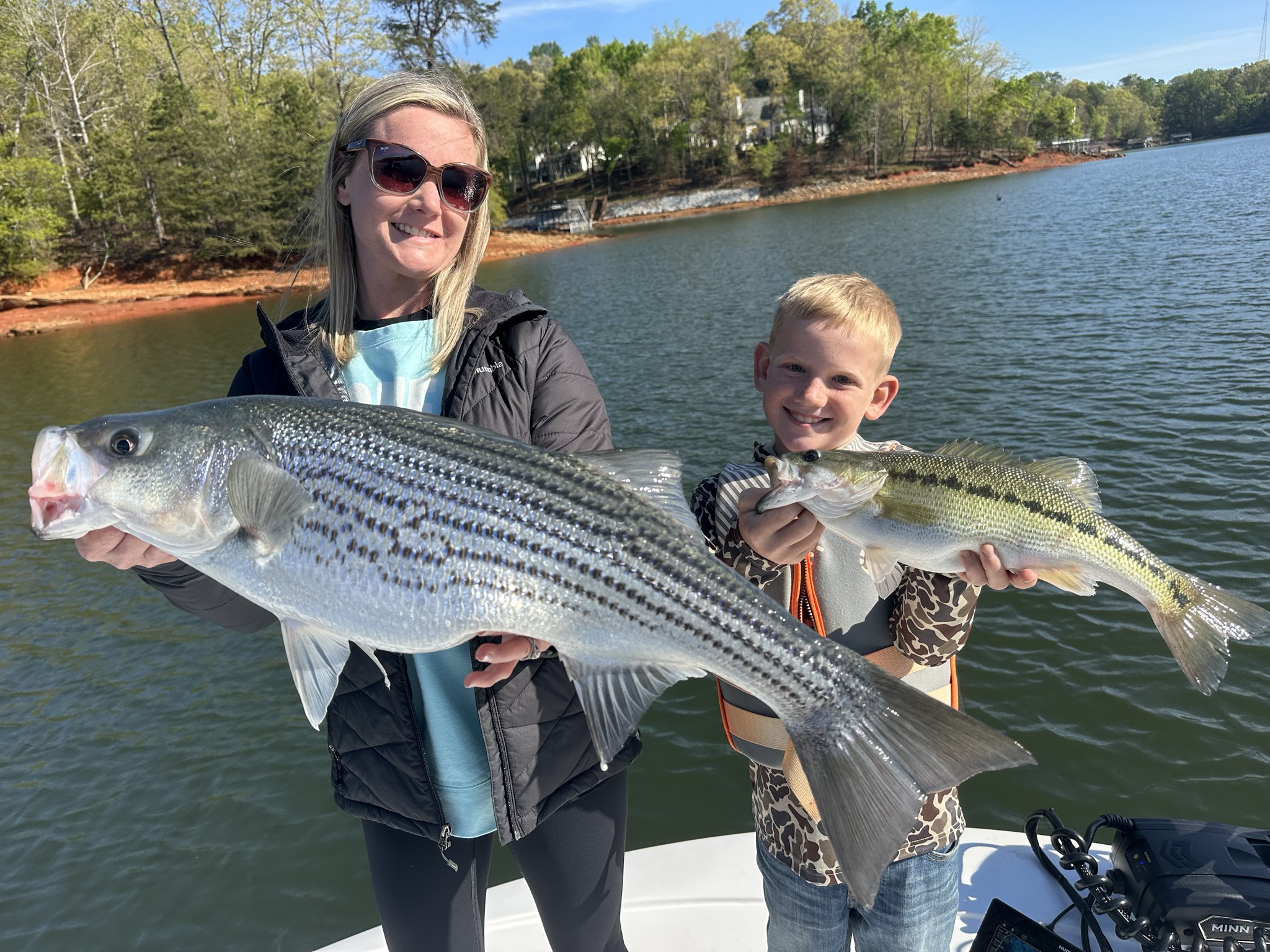 Striped Bass — April 2026