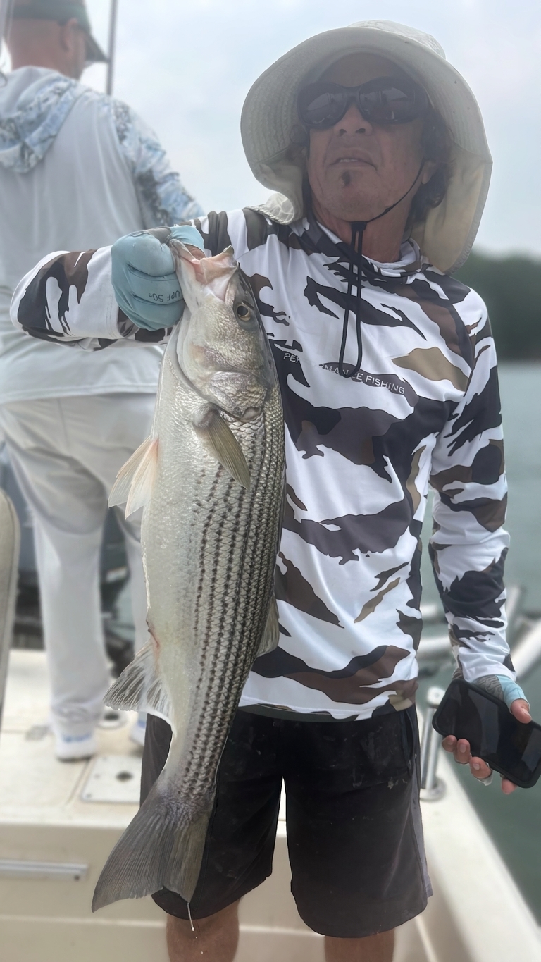 Striped And Spotted Bass On Lake Lanier