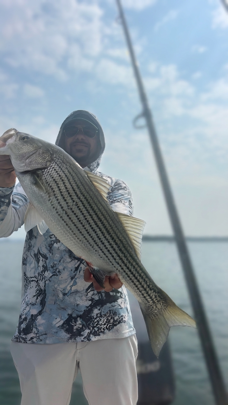 Striped And Spotted Bass On Lake Lanier