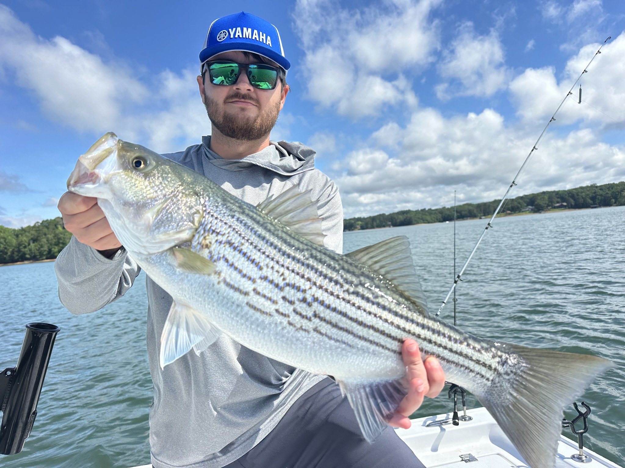 Striped Bass And Spotted Bass Dominate Lake Lanier