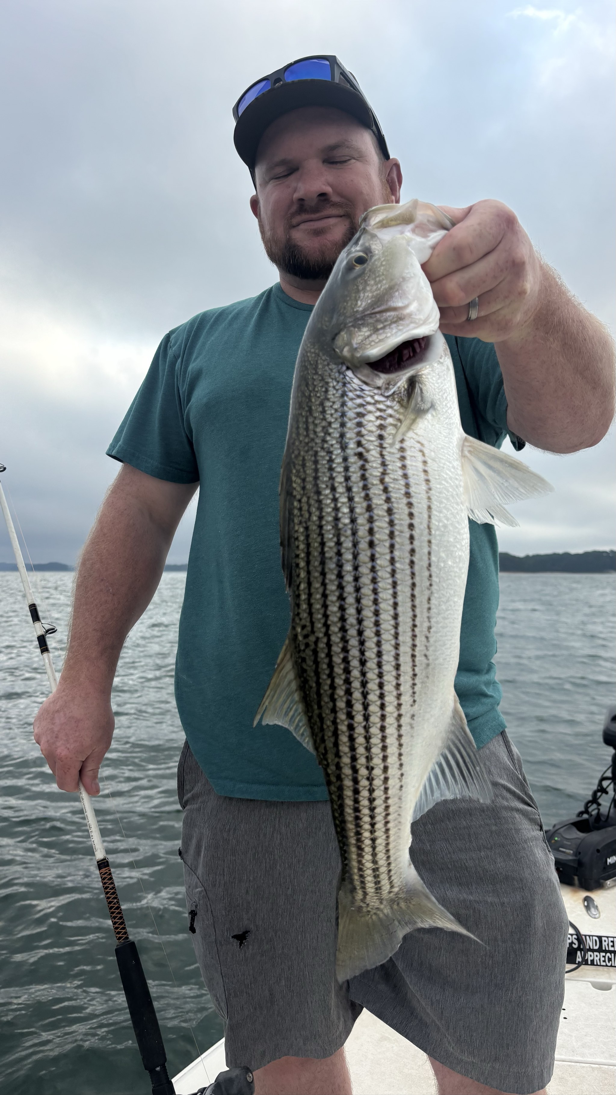 August Striped Bass Action on Lake Lanier
