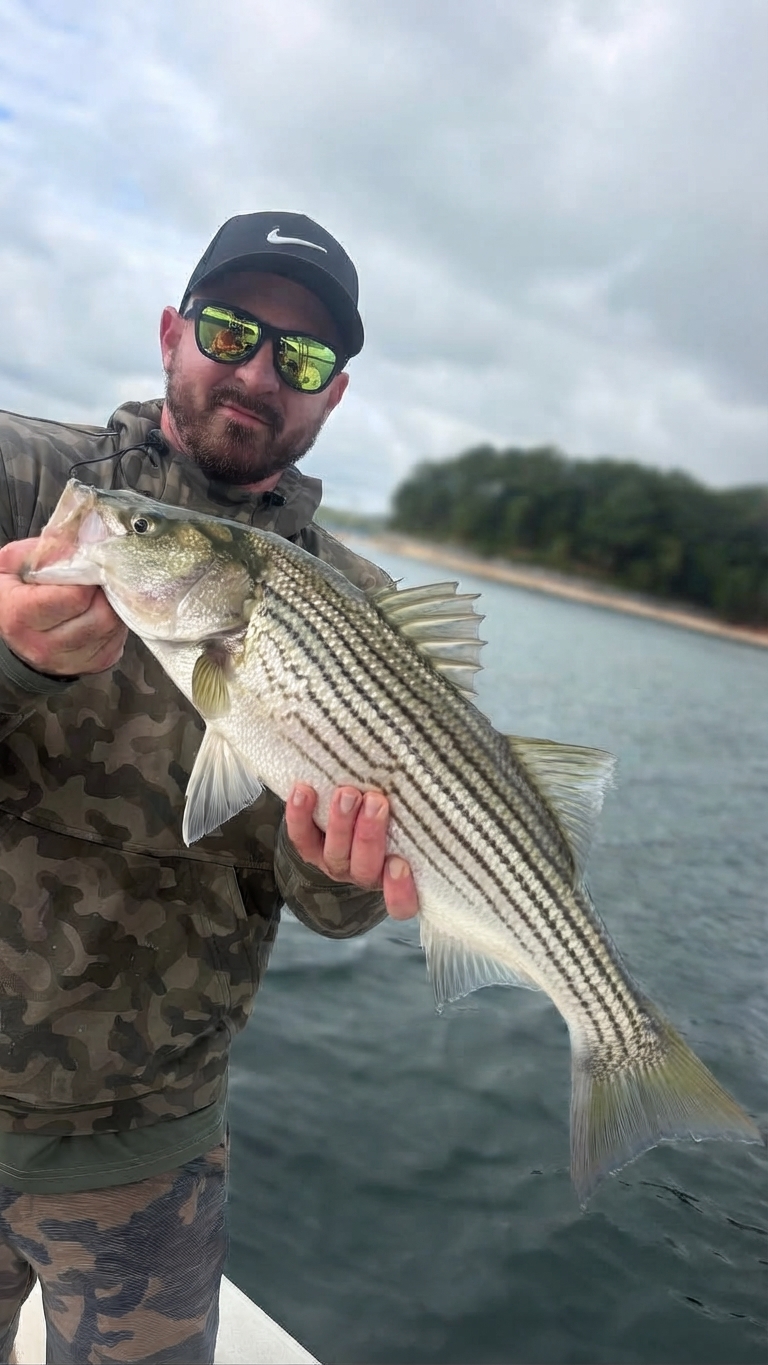 Lake Lanier Channel catfish — October 2026