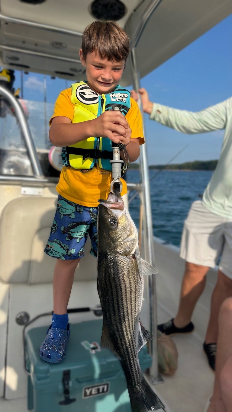 Sunset Bass Action On Lake Lanier