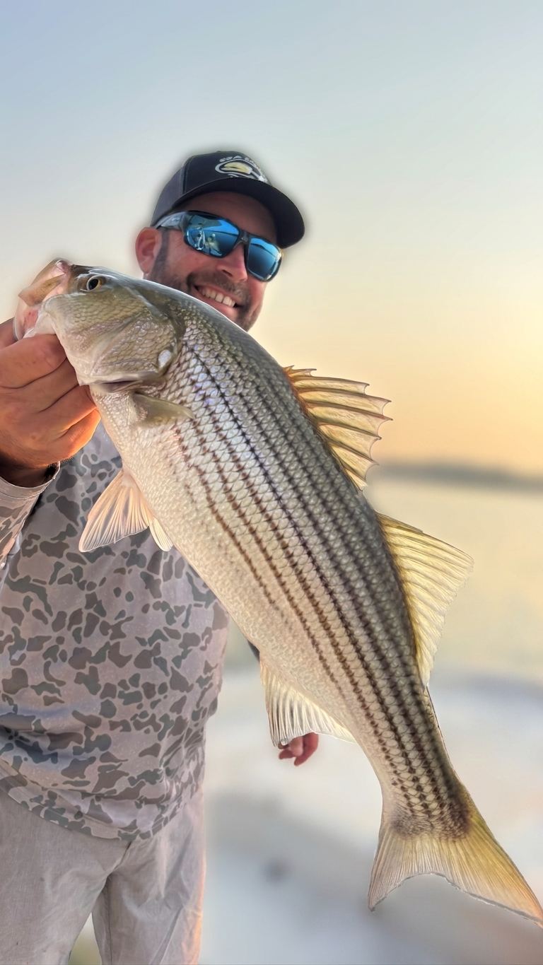 Striped Bass Spotted Bass Lake Lanier July