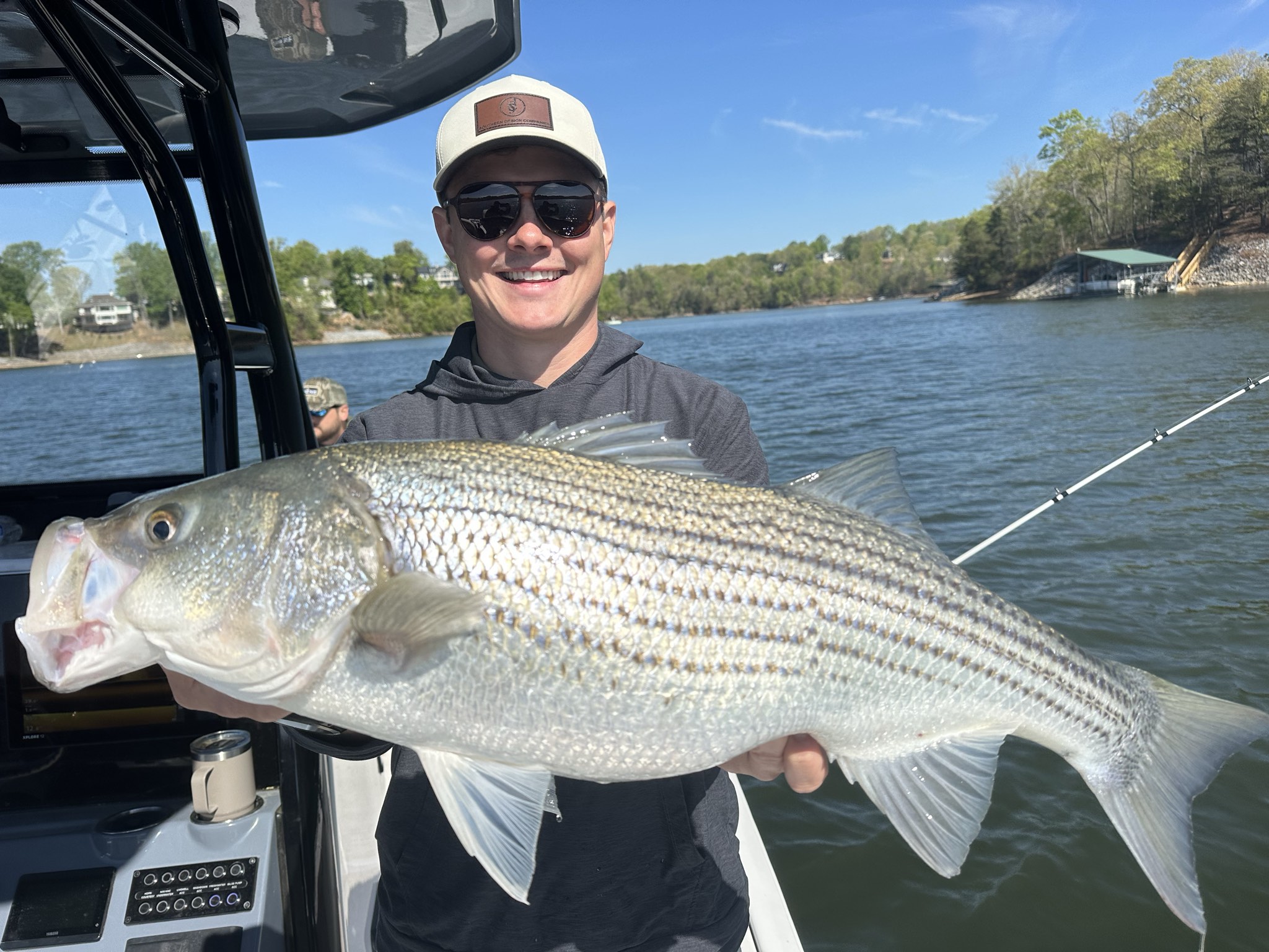 Striped And Spotted Bass Lake Lanier April