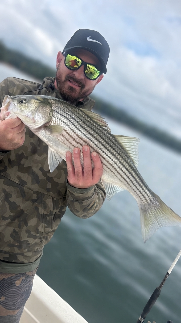Lake Lanier Channel catfish — October 2026