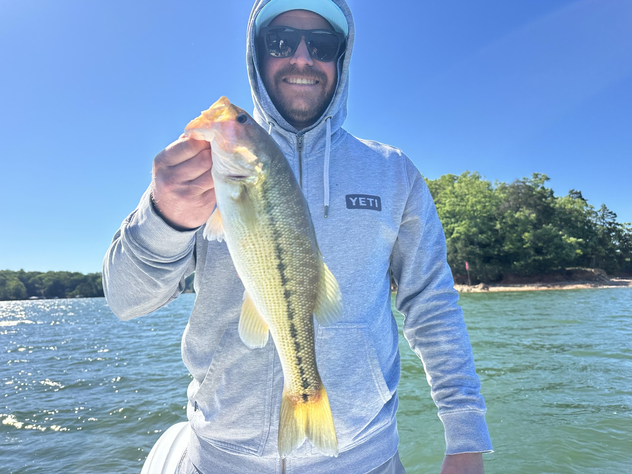 Striped Bass — May 2026