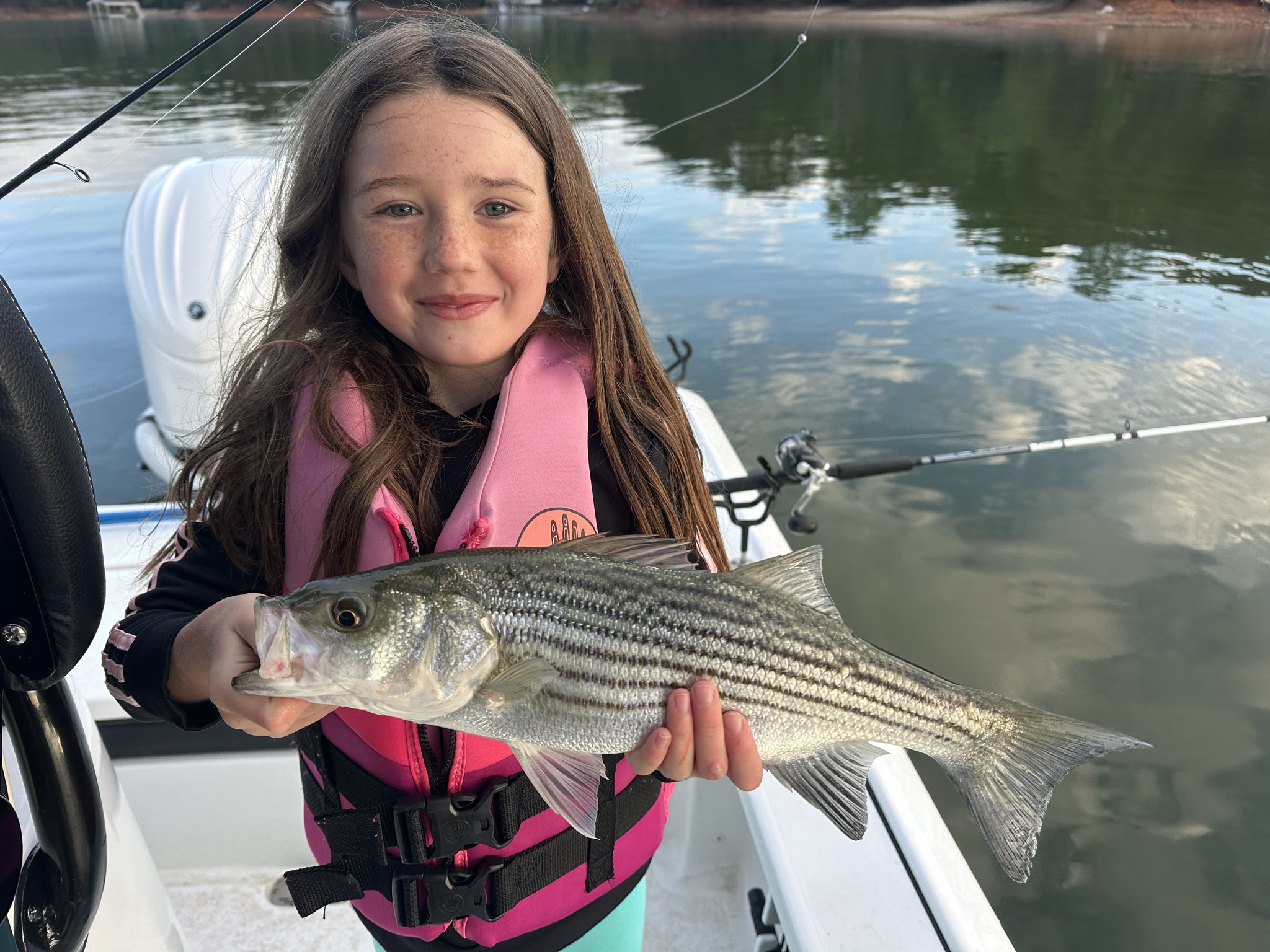 Striped Bass — May 2026