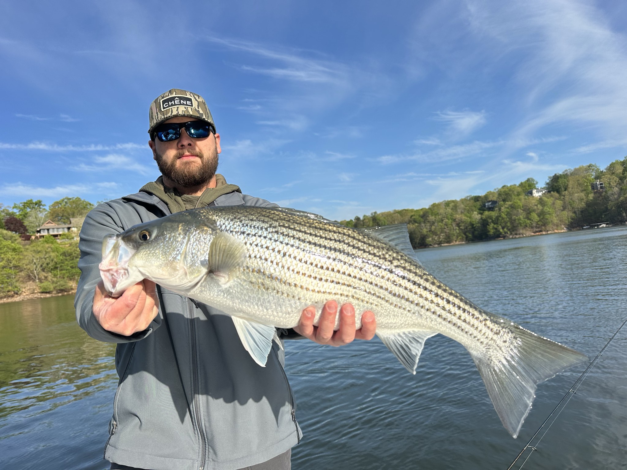 Striped And Spotted Bass Lake Lanier April