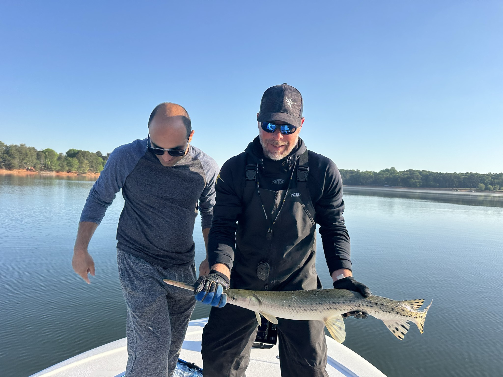 Striped Bass And Spotted Bass On Lake Lanier