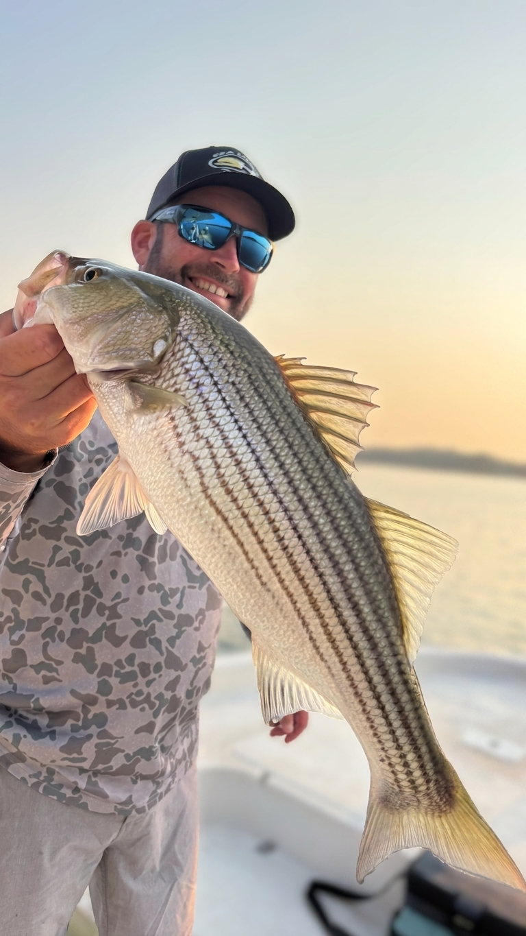 Striped Bass Spotted Bass Lake Lanier July