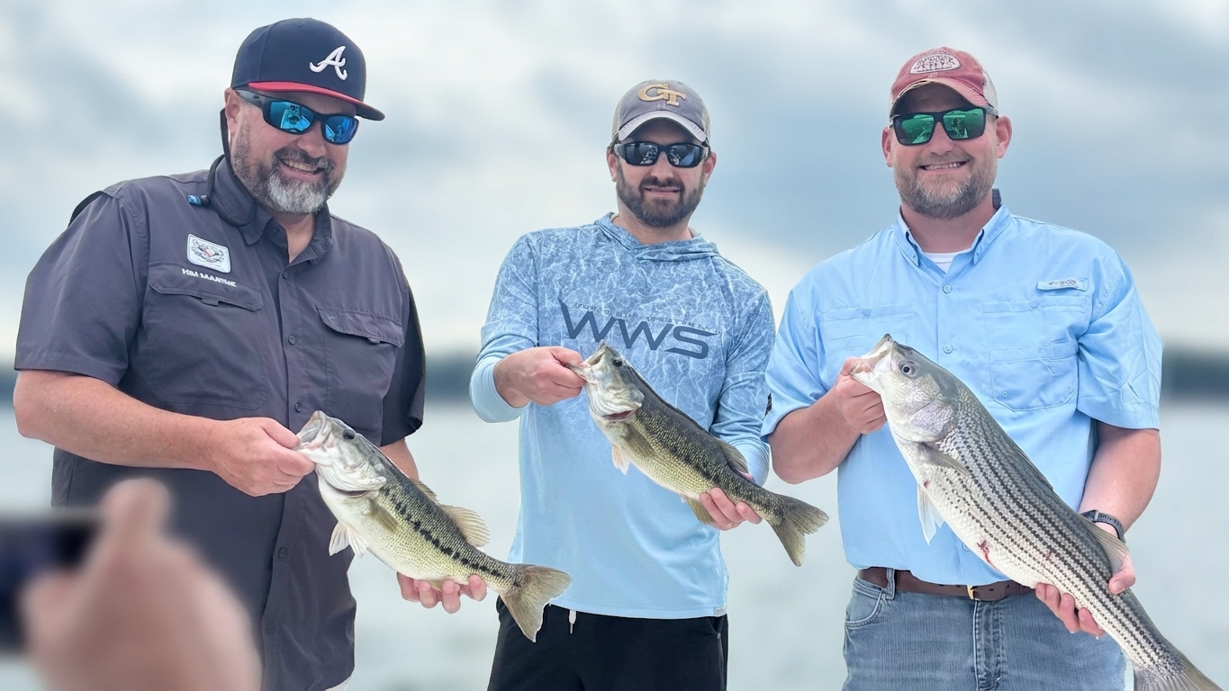 May Striped Bass Bite Lake Lanier