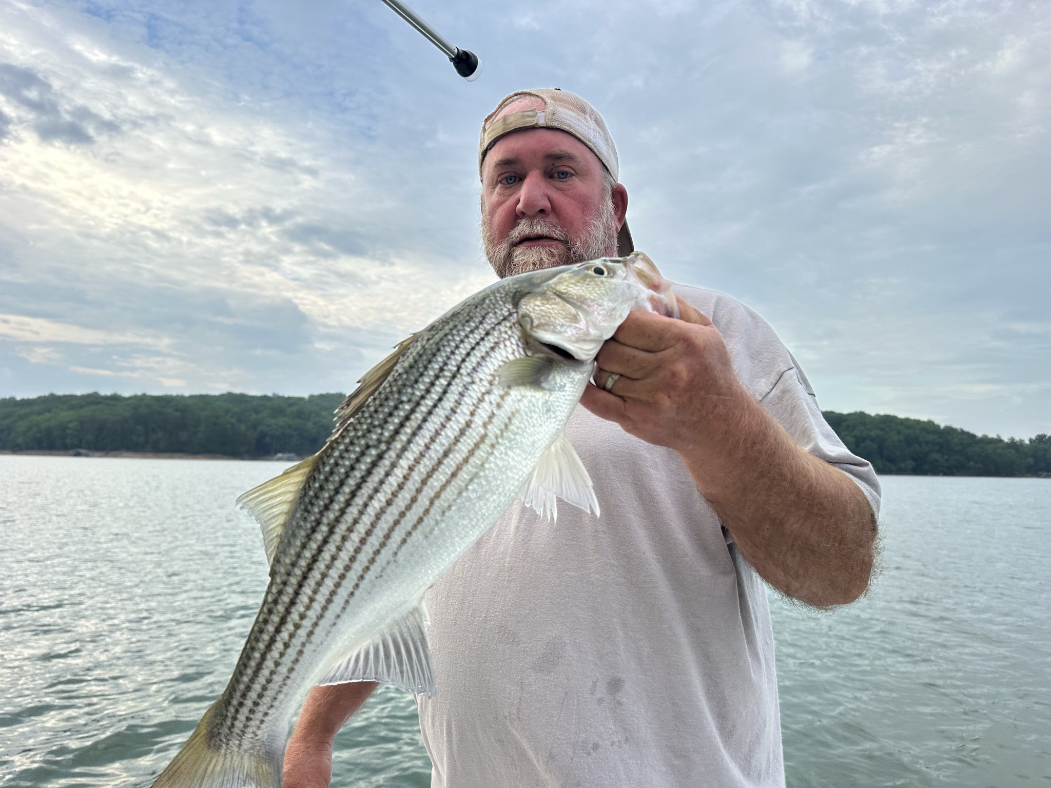 May Stripers, Spots, And Catfish On Lake Lanier