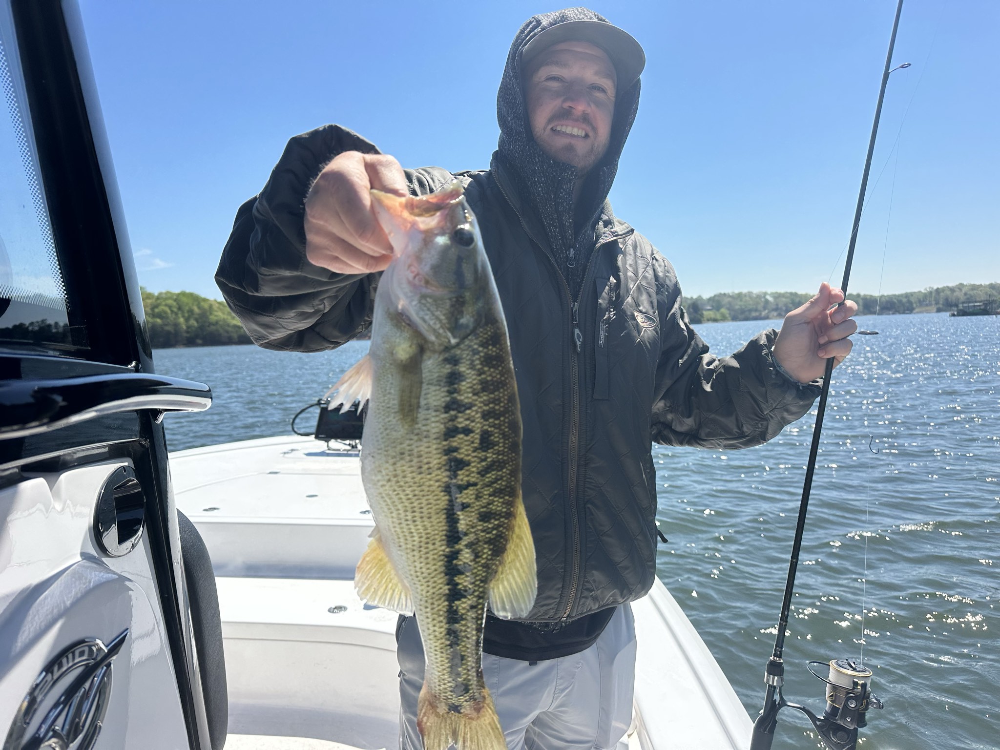 Striped And Spotted Bass Lake Lanier April