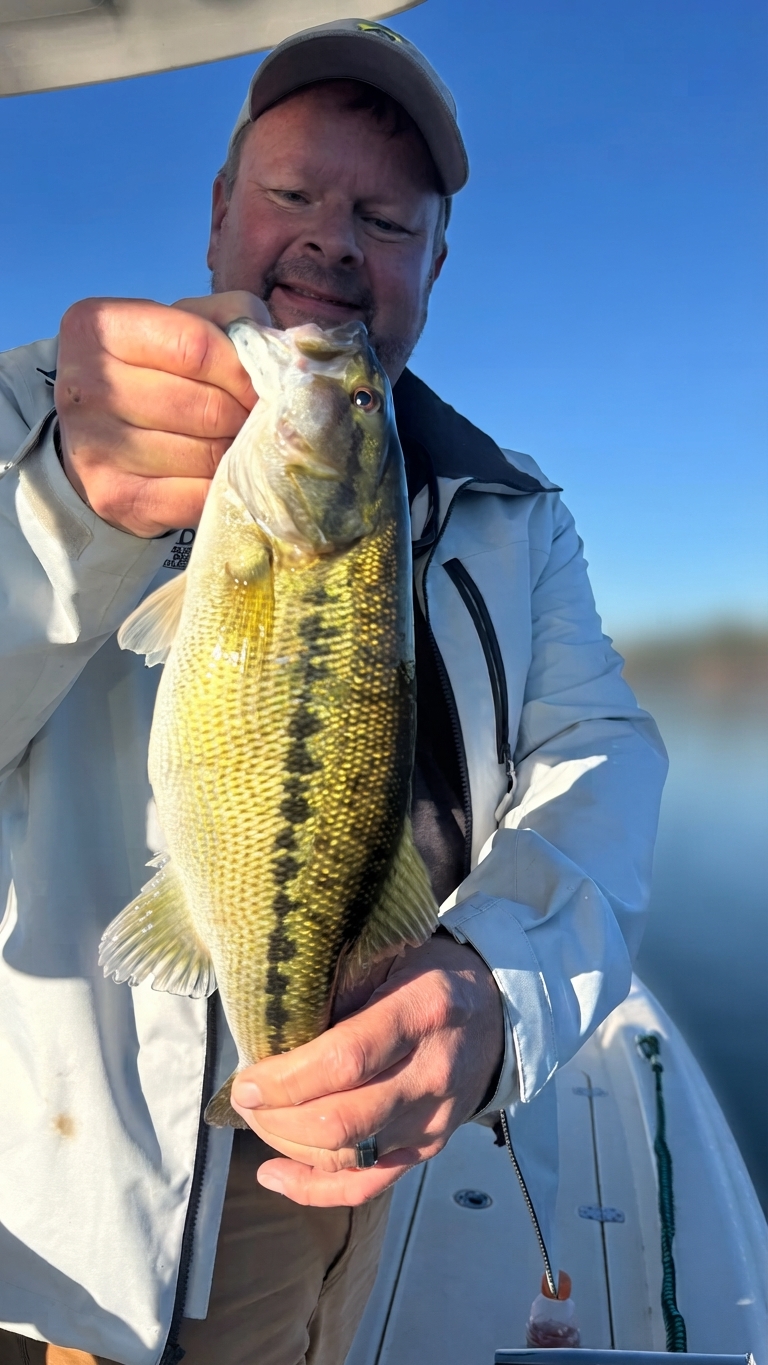 Spotted bass caught on Lake Lanier, Oct 30, 2026