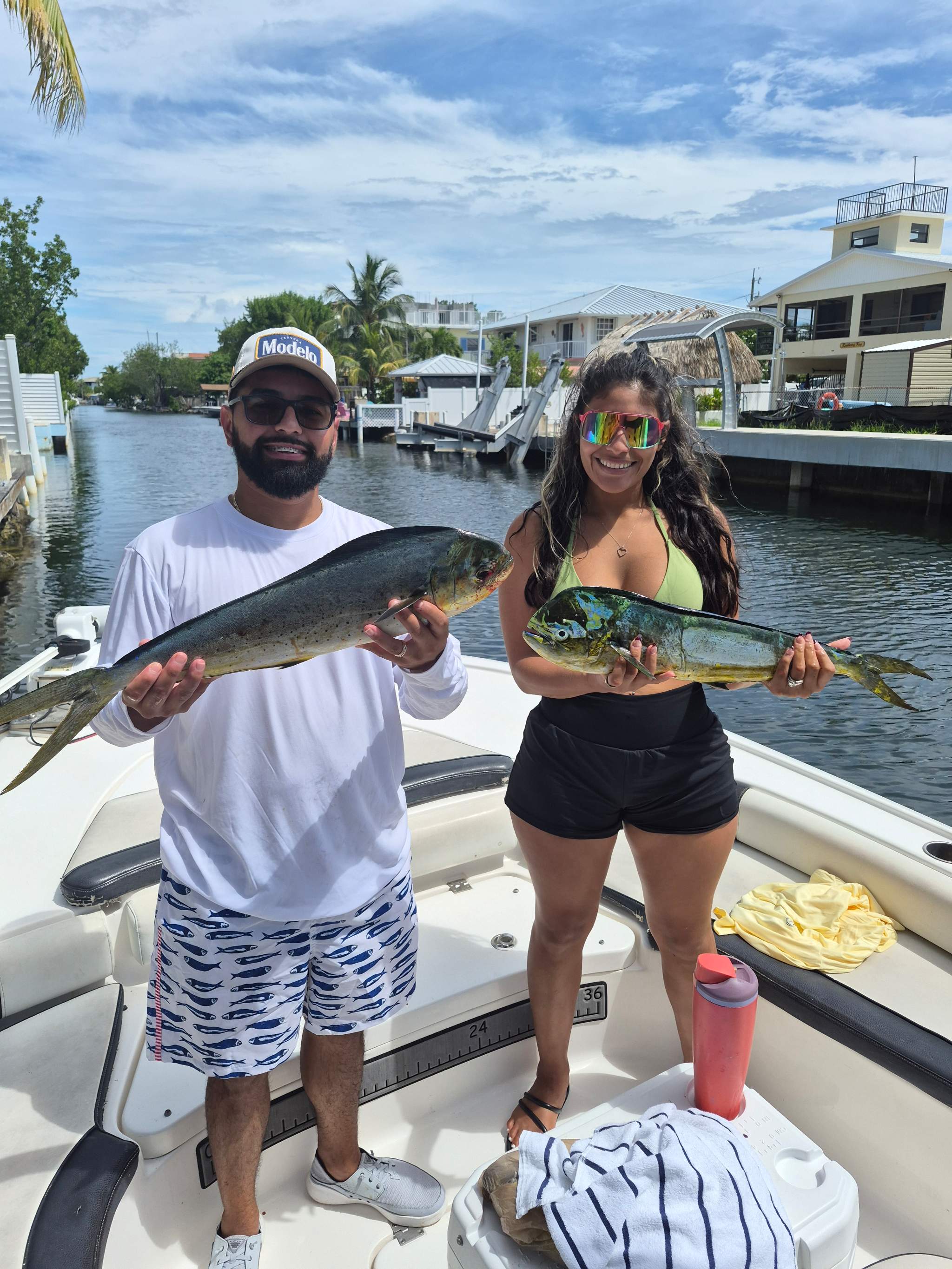 Tarpon and Snapper Action in Key Largo