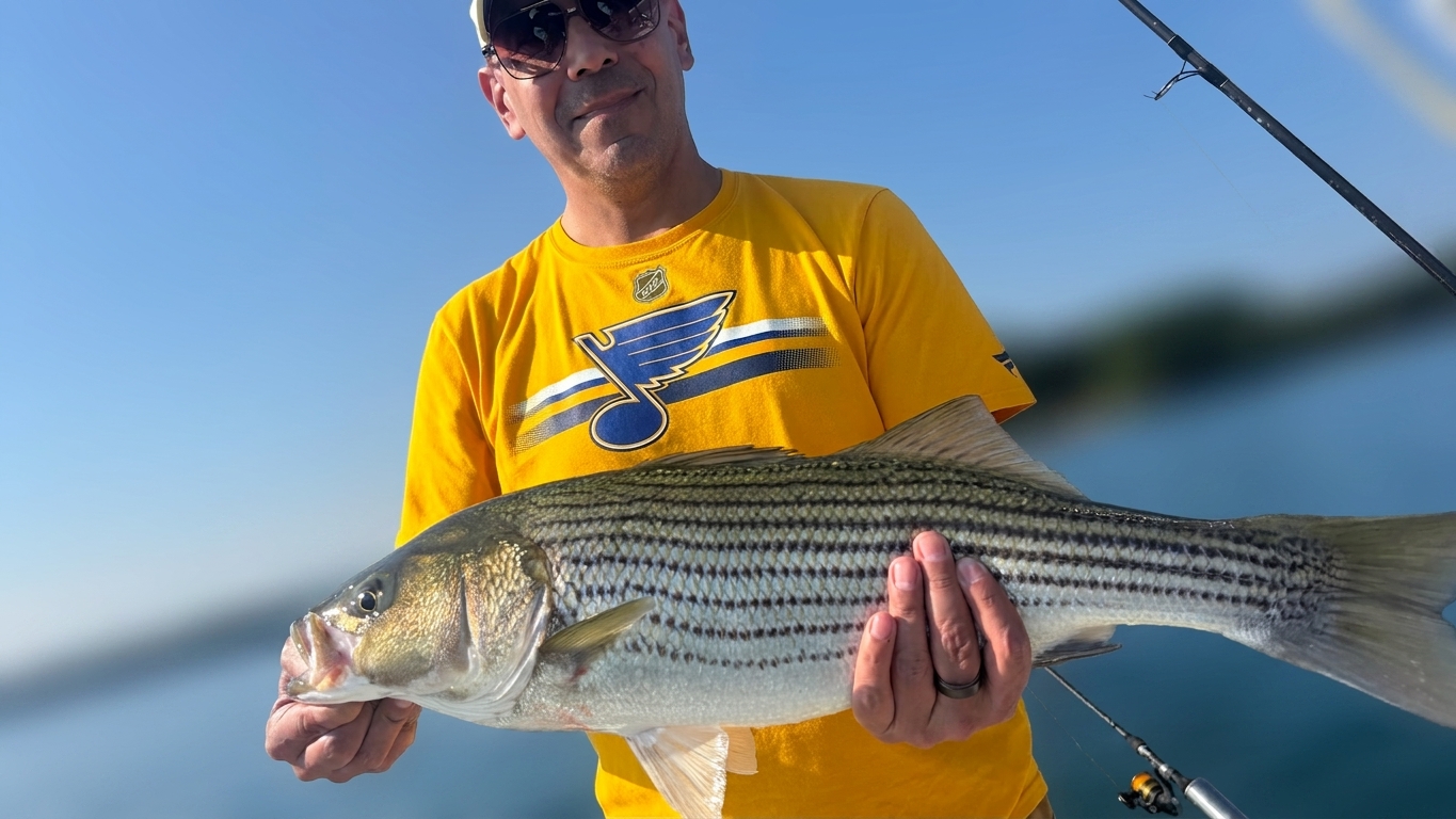 Lake Lanier bass — August 2026