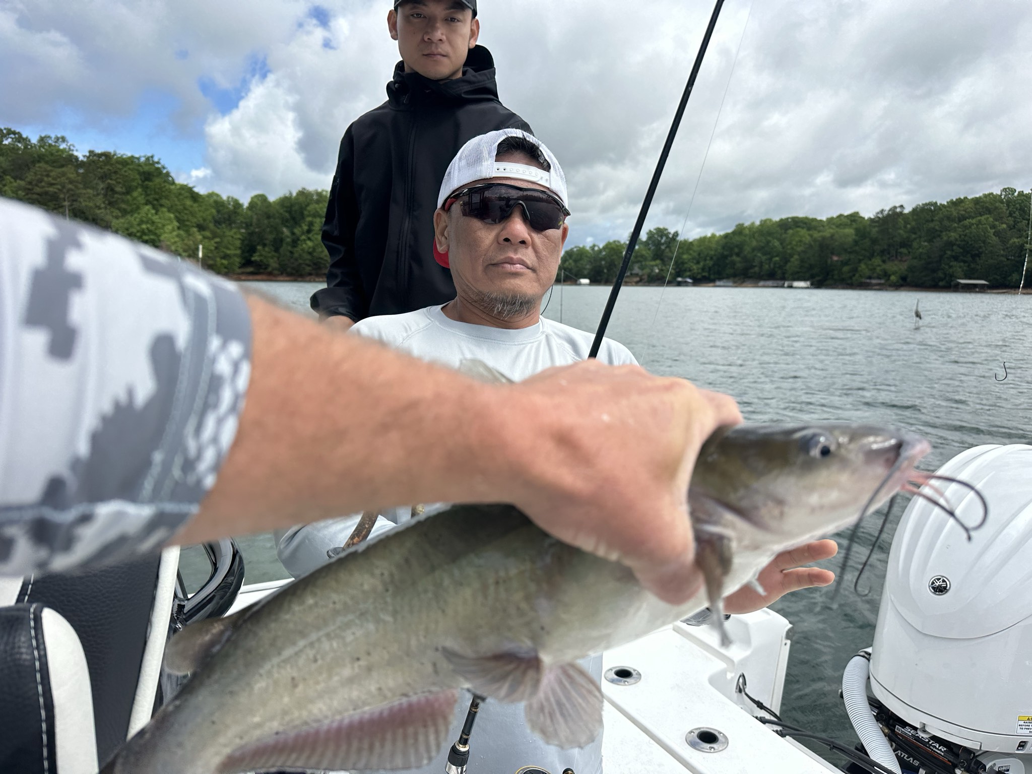 Lake Lanier May Striped Bass Success
