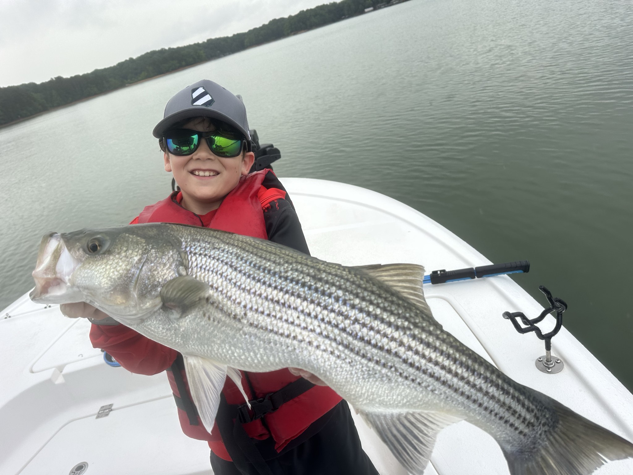 Striped Bass — June 2026