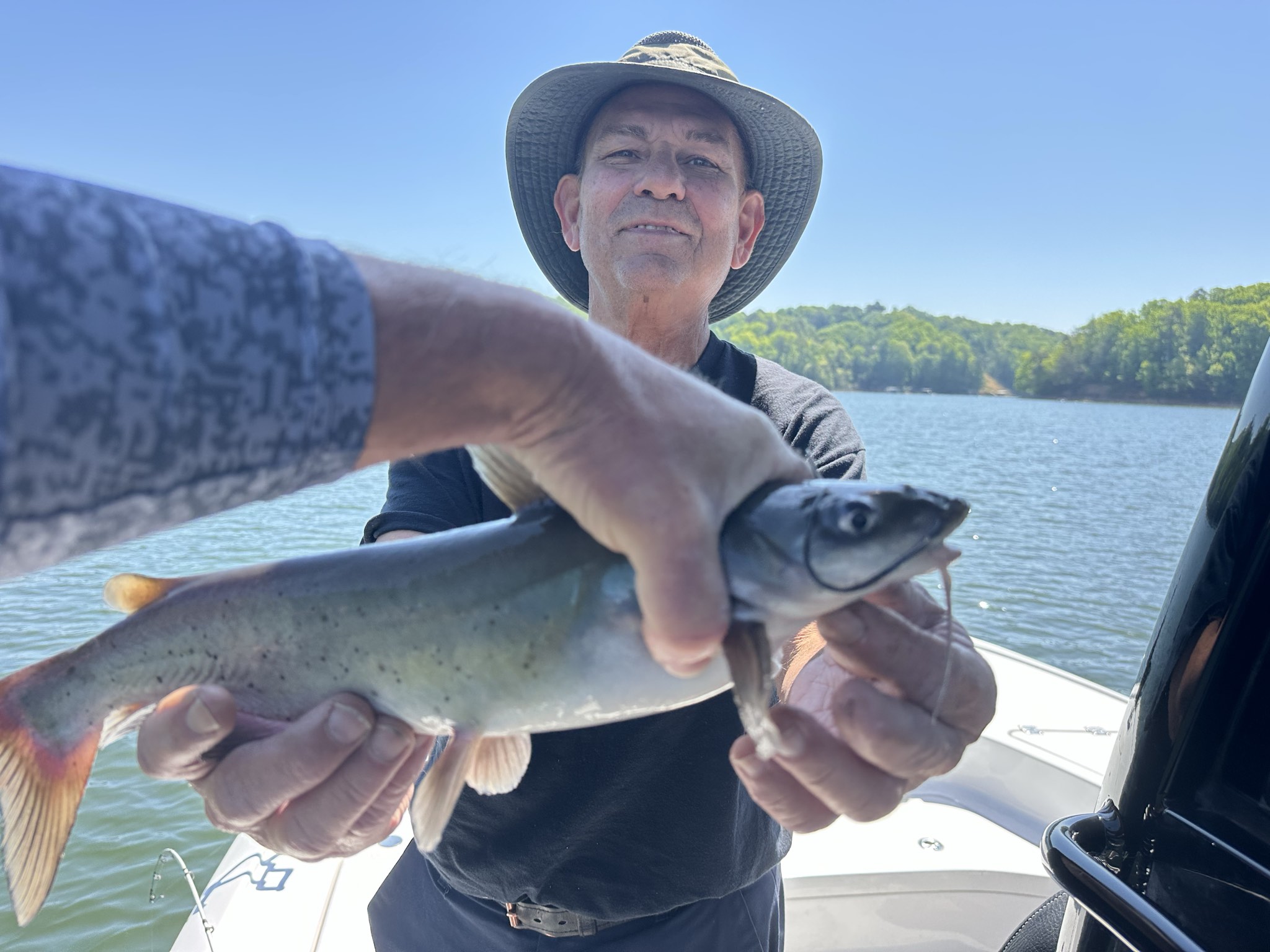 Striped Bass And Spotted Bass On Lake Lanier