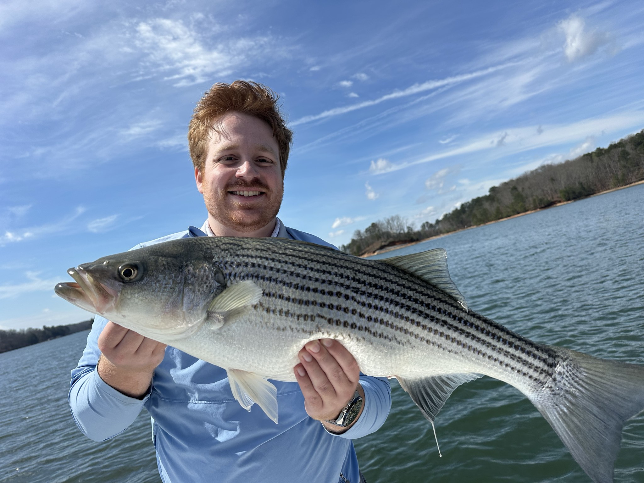 Striped Bass — March 2026