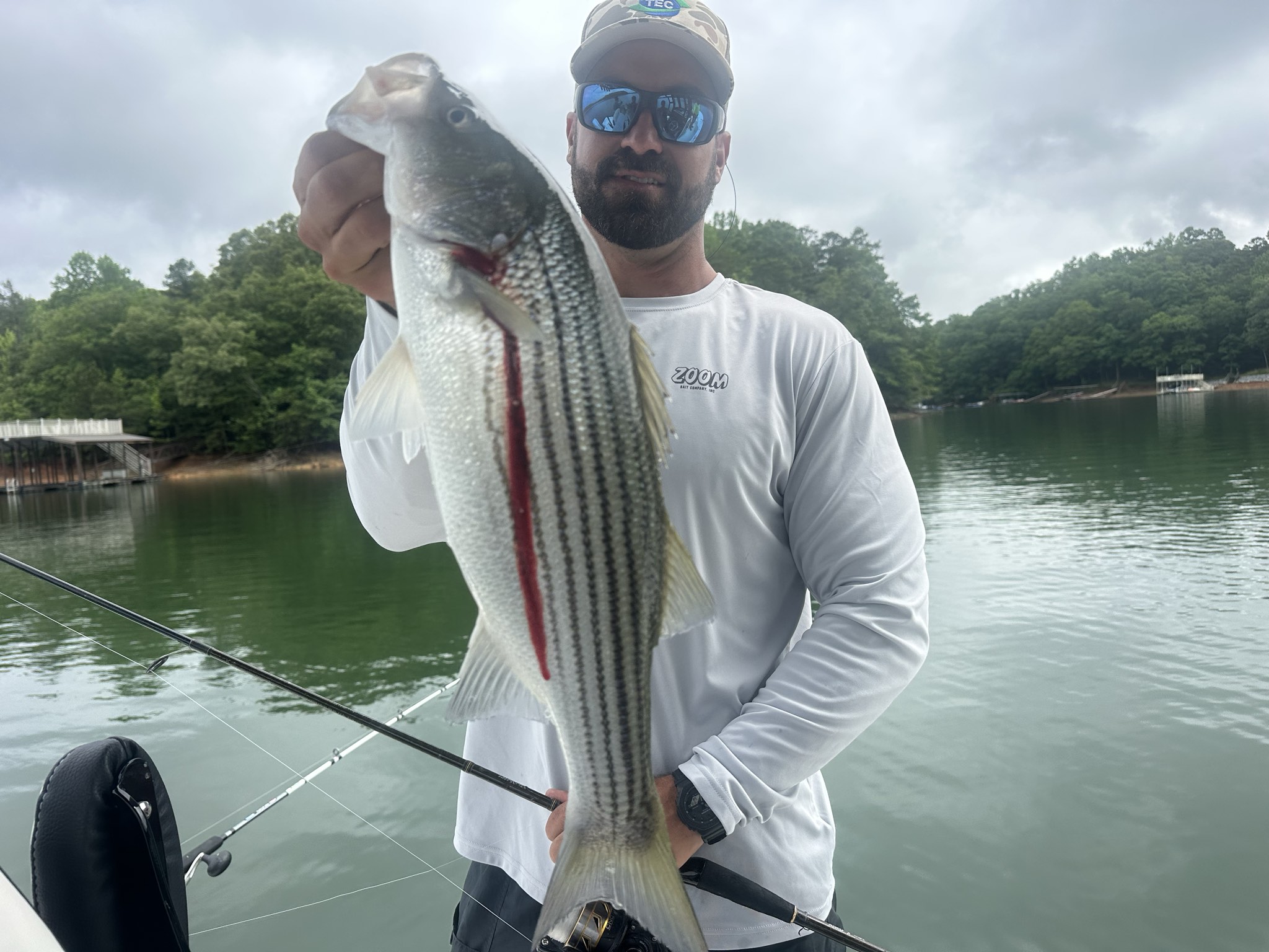 Striped Bass — May 2026