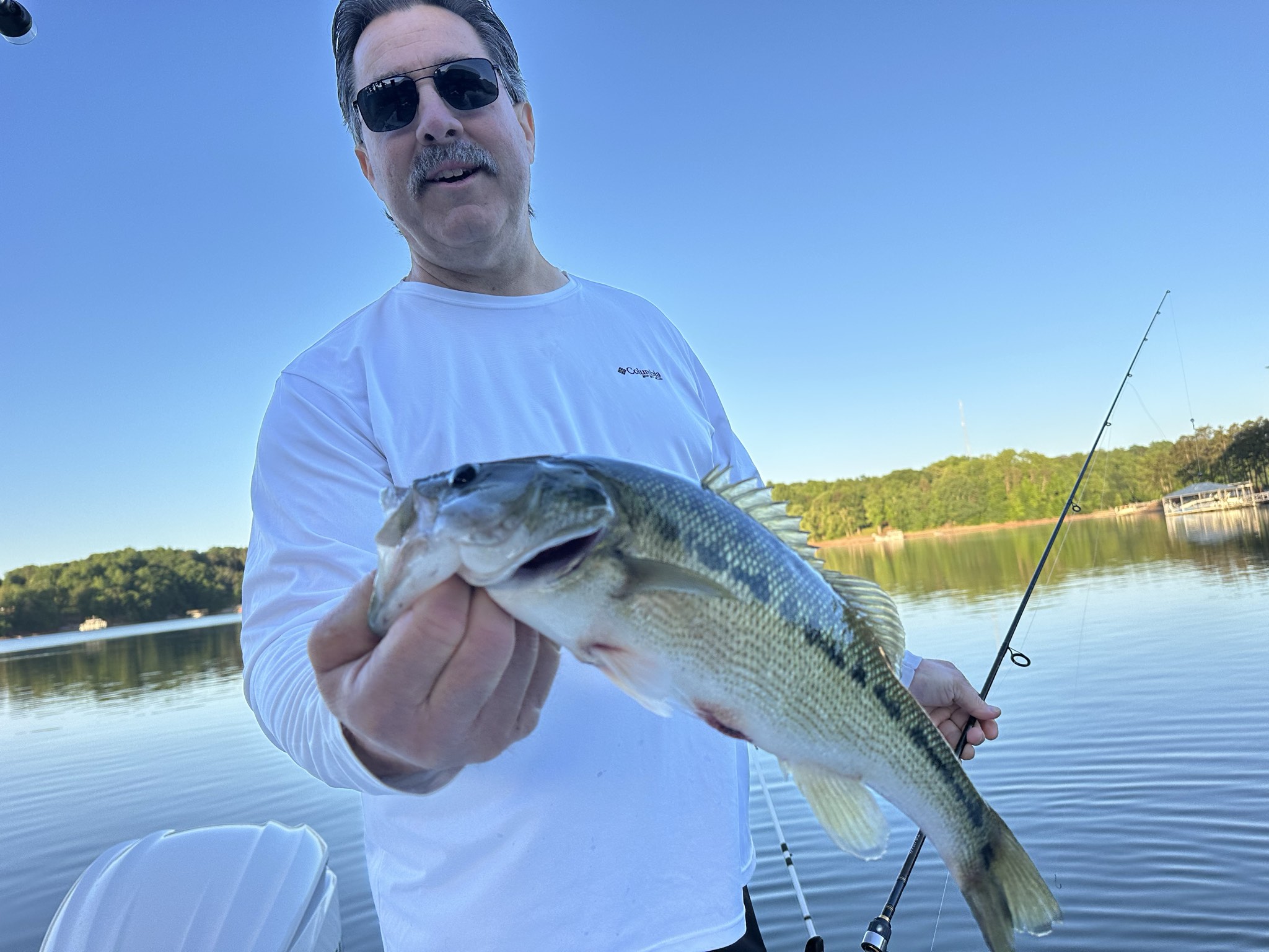Striped Bass — May 2026