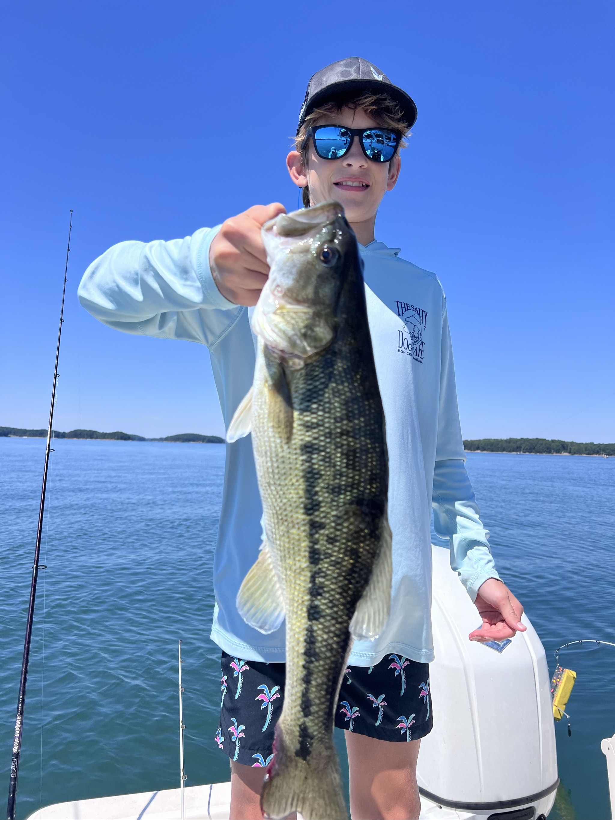 Striped Bass Action On Lake Lanier