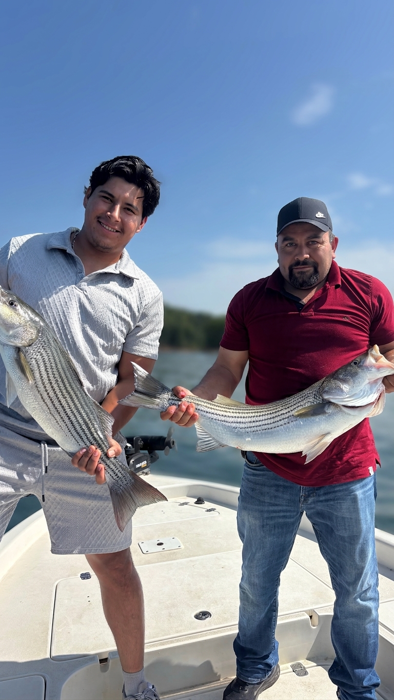 2 striped bass caught on Lake Lanier, Sept 19, 2026