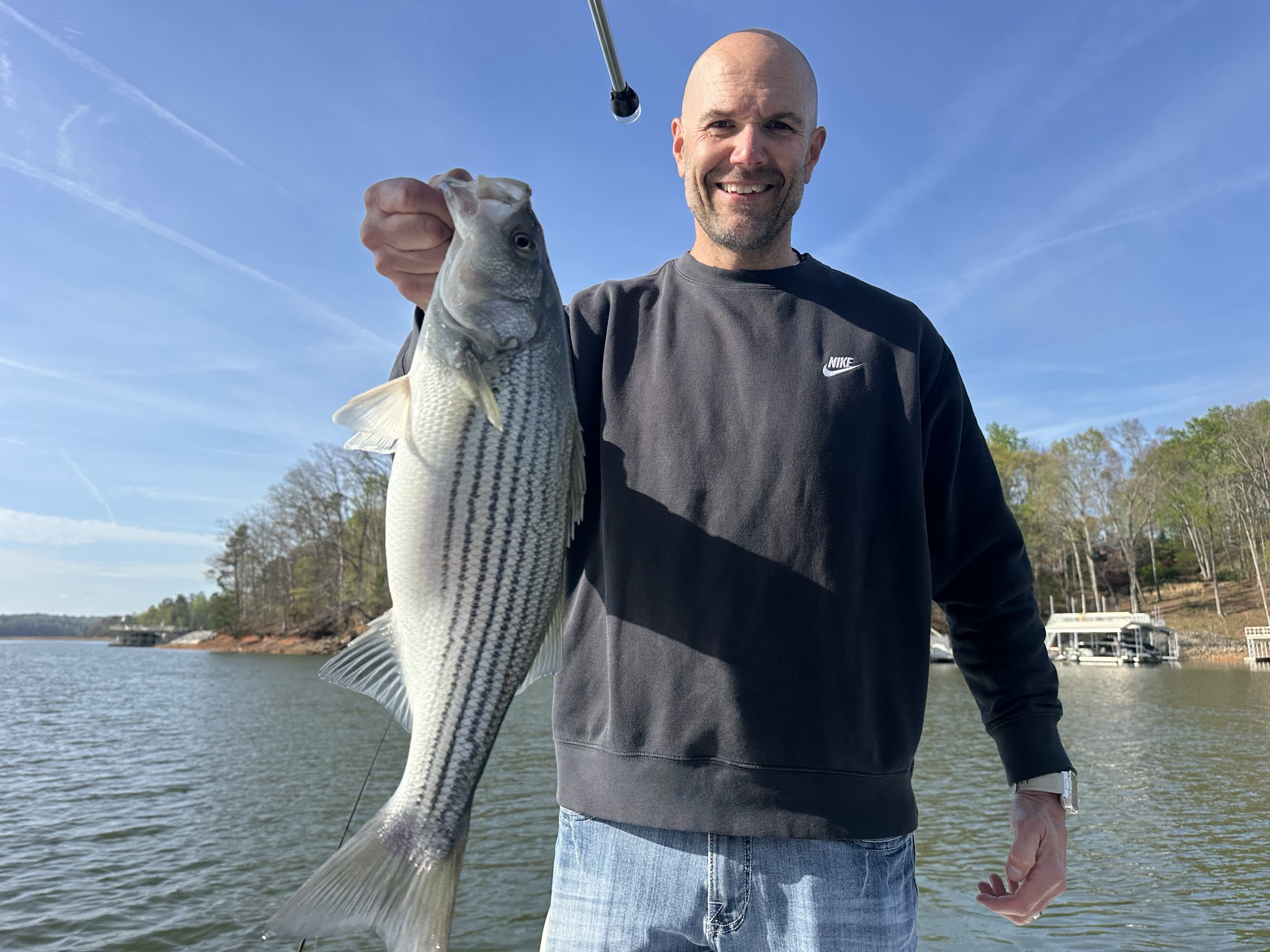 Striped Bass — April 2026