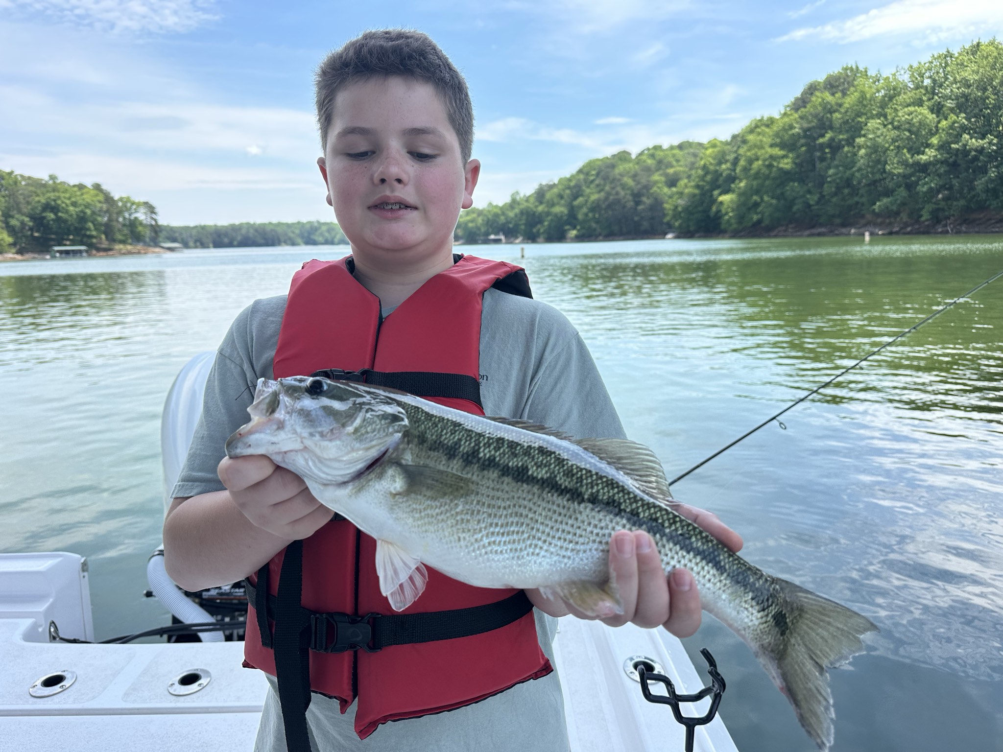 Striped Bass — May 2026