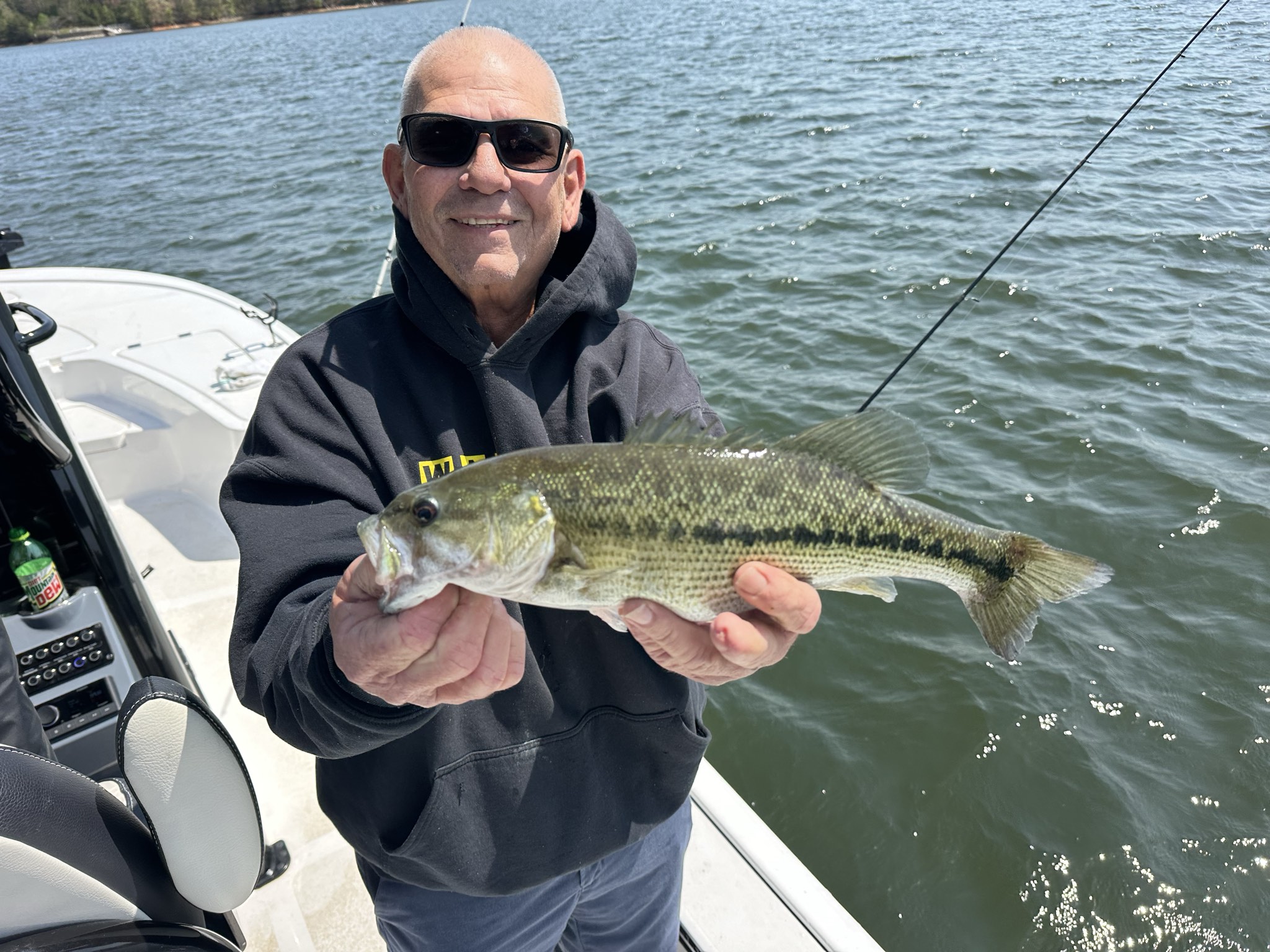 Striped Bass — April 2026