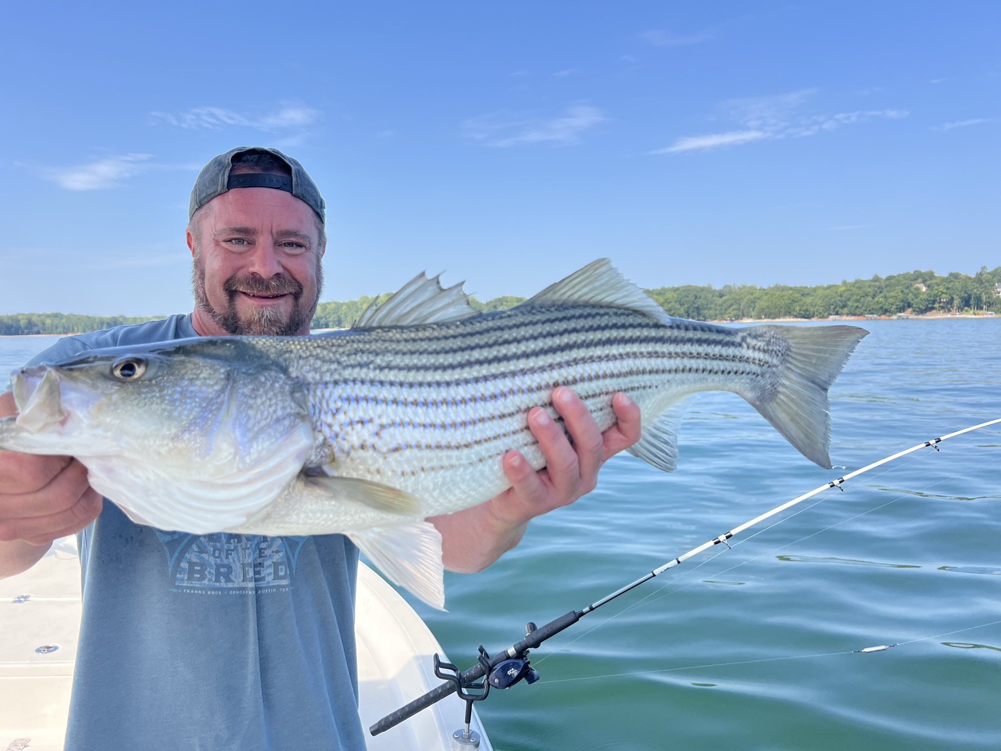 September Gar And Bass Action Lake Lanier